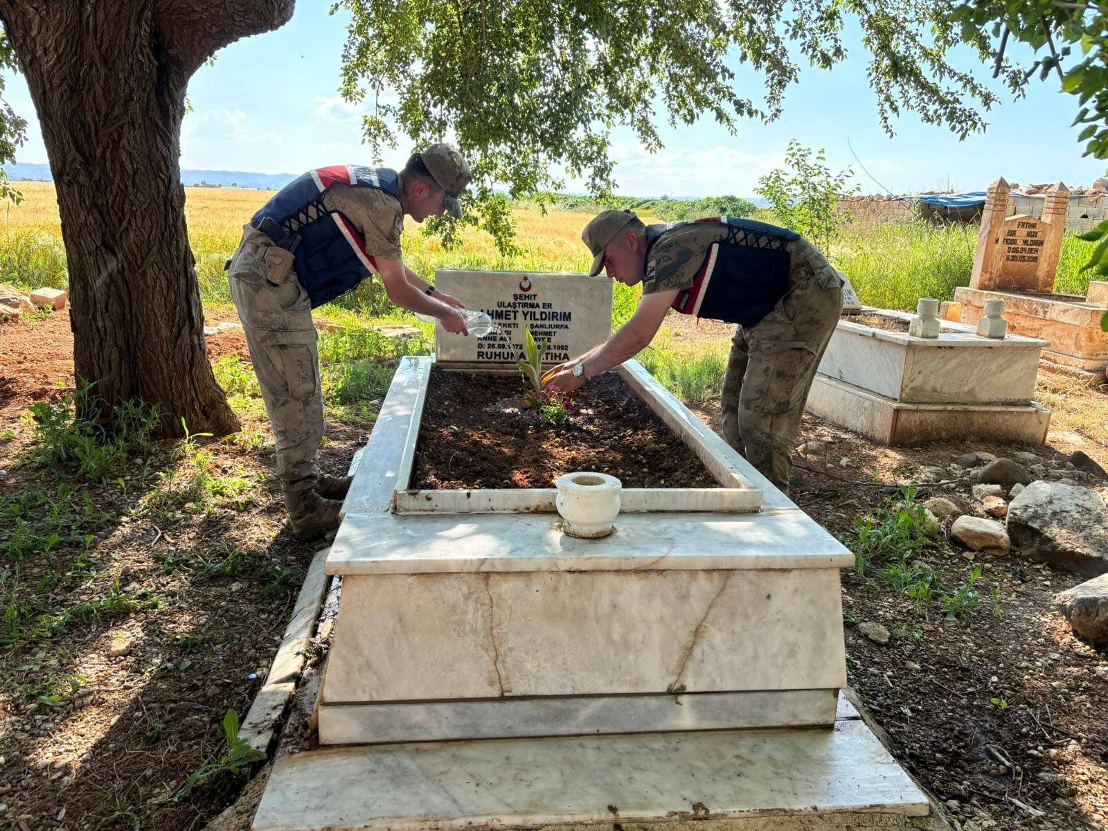 Jandarma Şehit Kabirleri