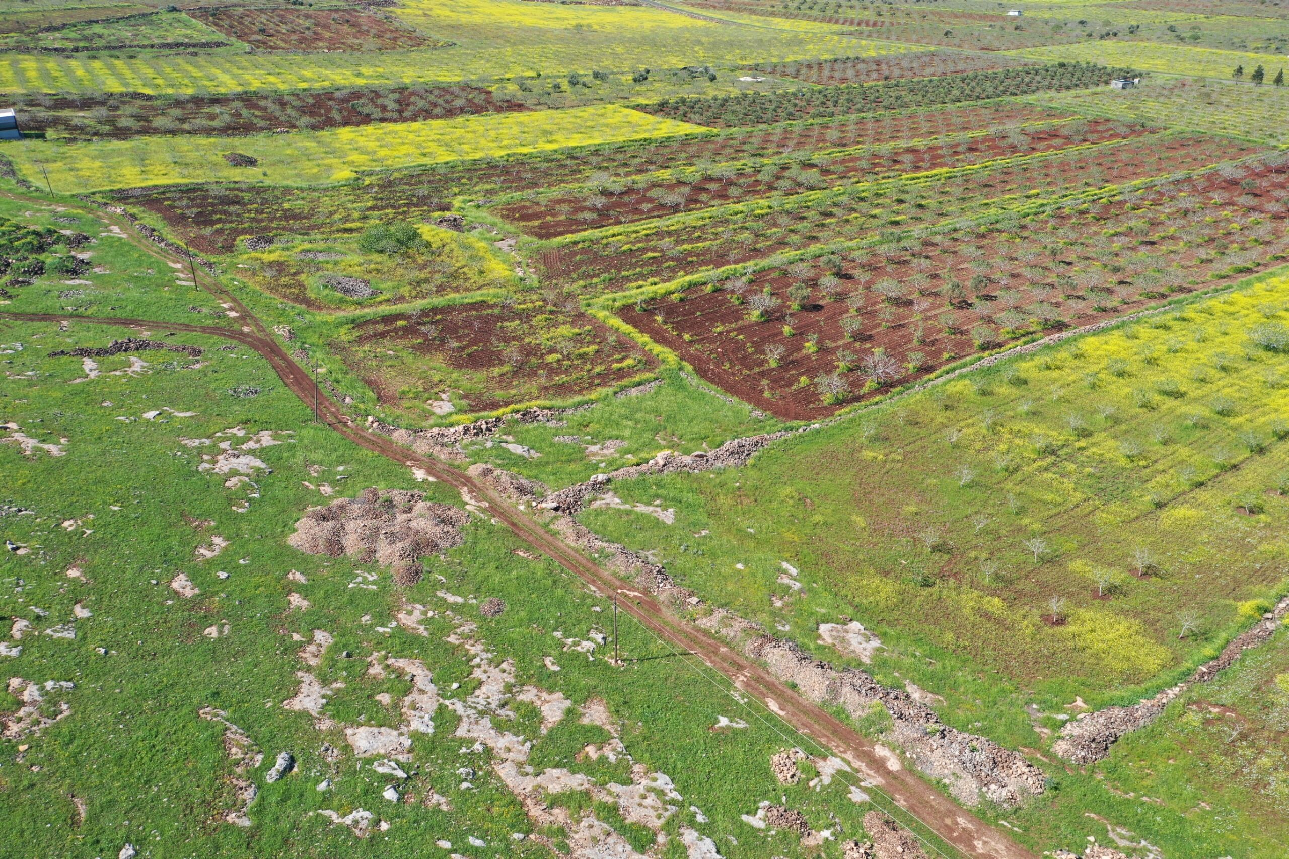 Japon Ve Çinli Arkeologlar Şanlıurfa’da Neolitik Çağın İzini Sürecek (5)