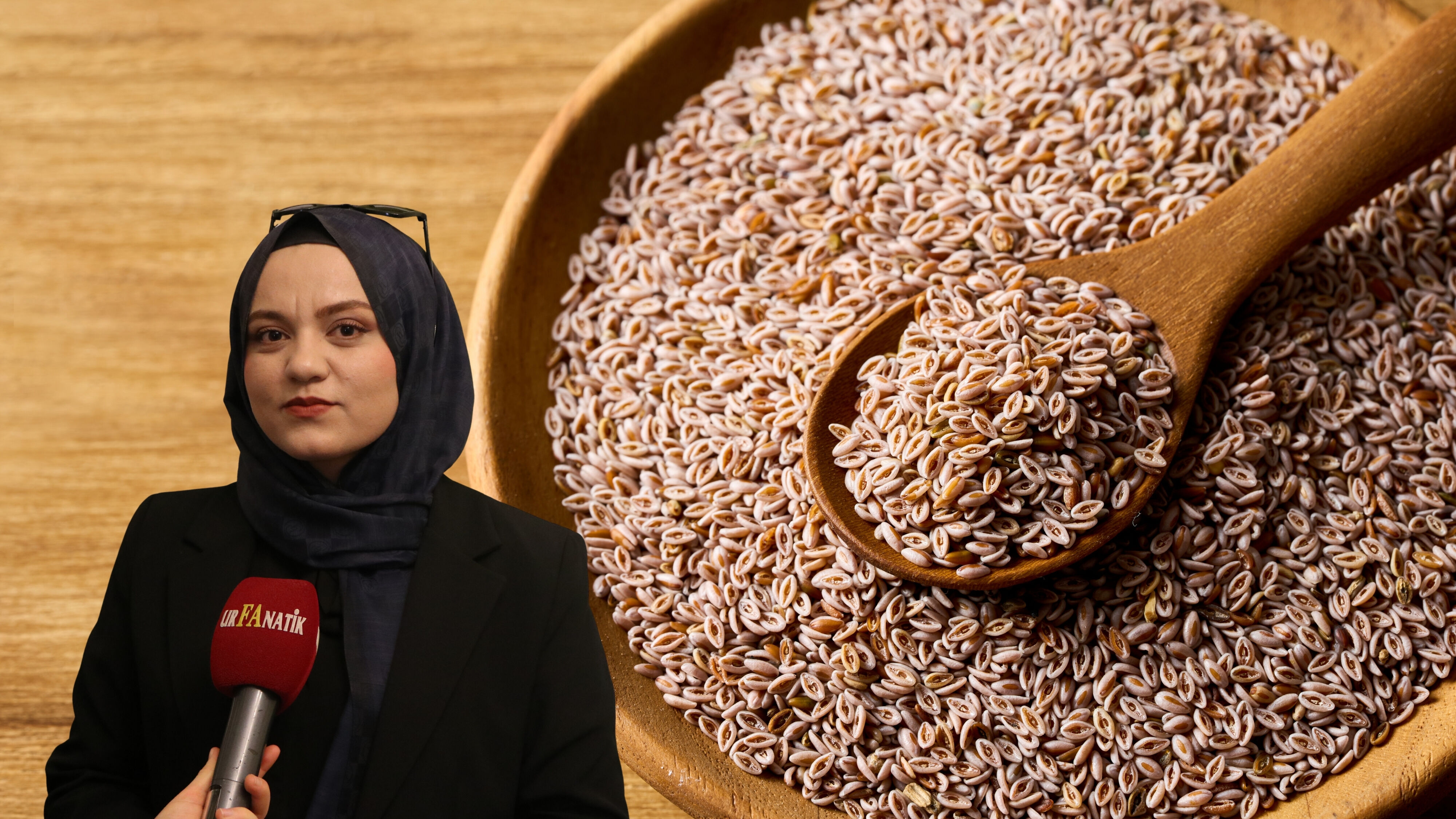 Karnıyarık Otu