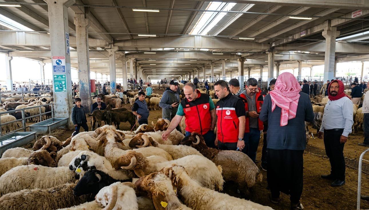 Kurban Bayramı Öncesi 81 İlde Ekipler Sahaya İndi
