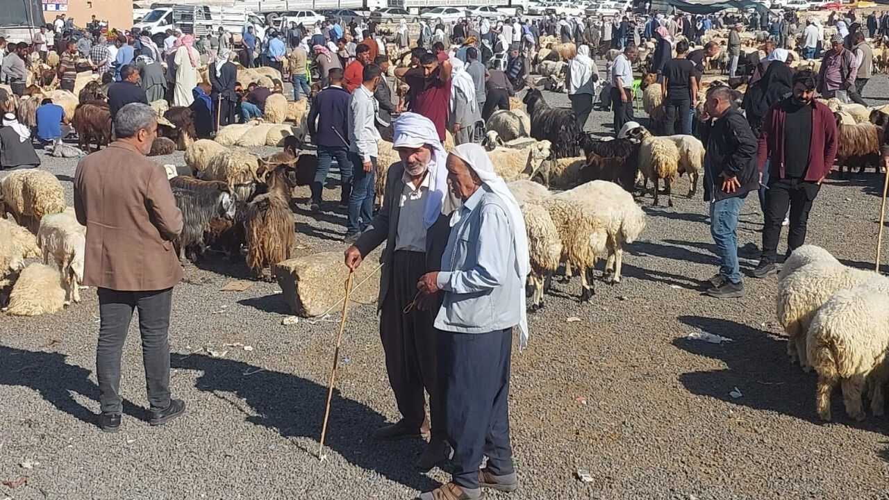 Kurban Keserken Bu Hatalara Düşmeyin! (2)