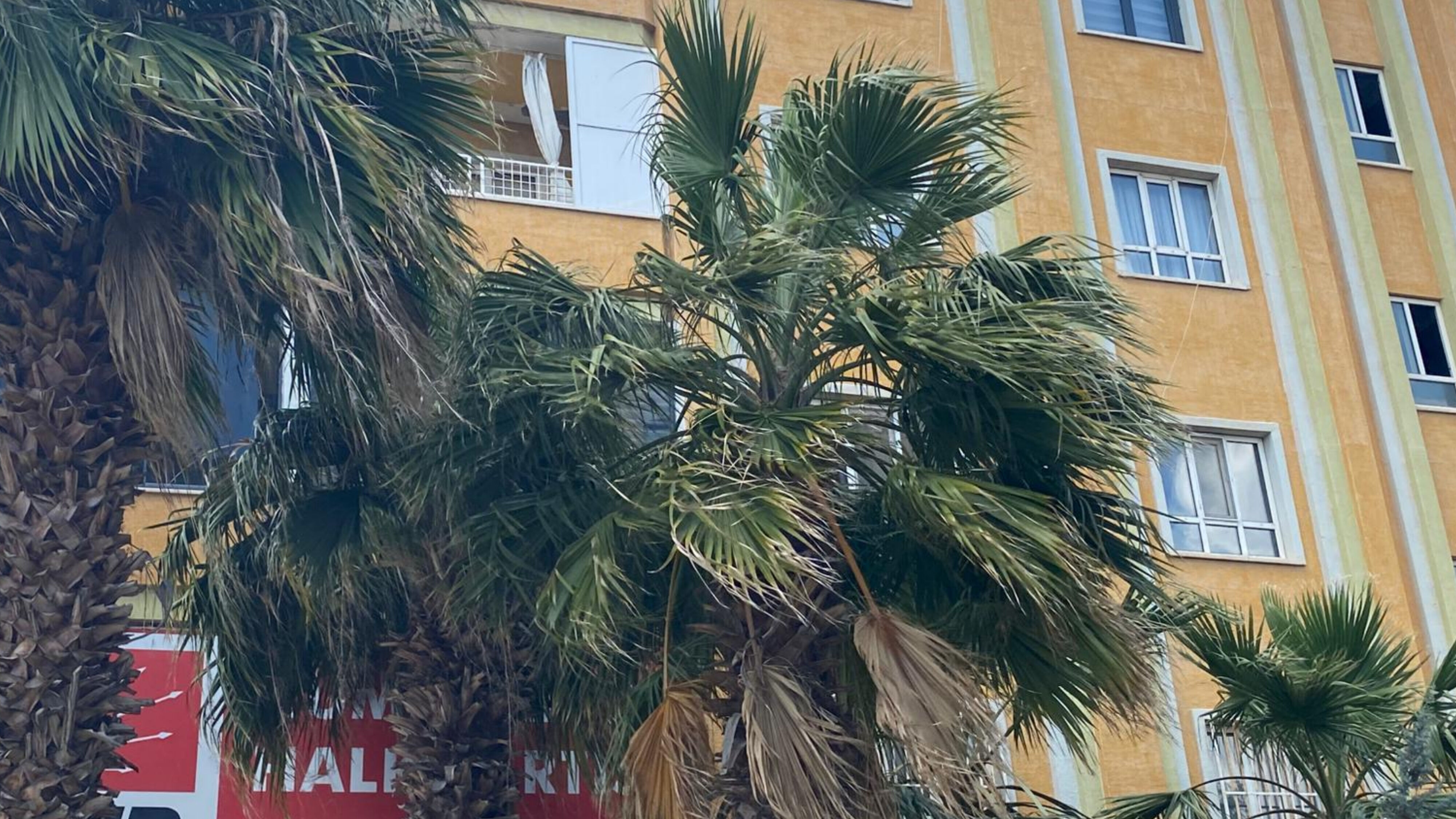 Meteoroloji Uyarmıştı Şanlıurfa’da Fırtına Etkisini Göstermeye Başladı (2)