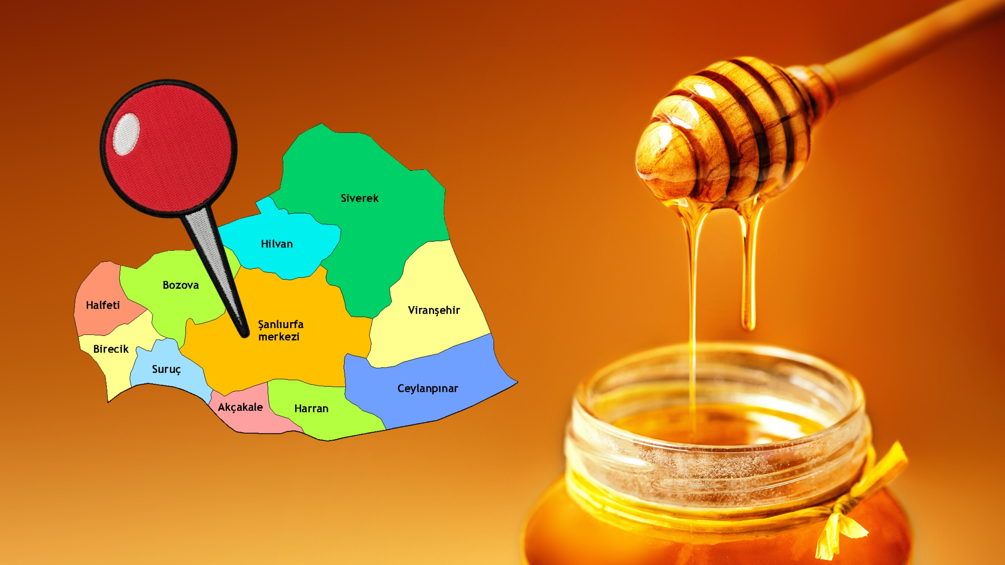 Şanlıurfa Bal Üretiminde Kaçıncı