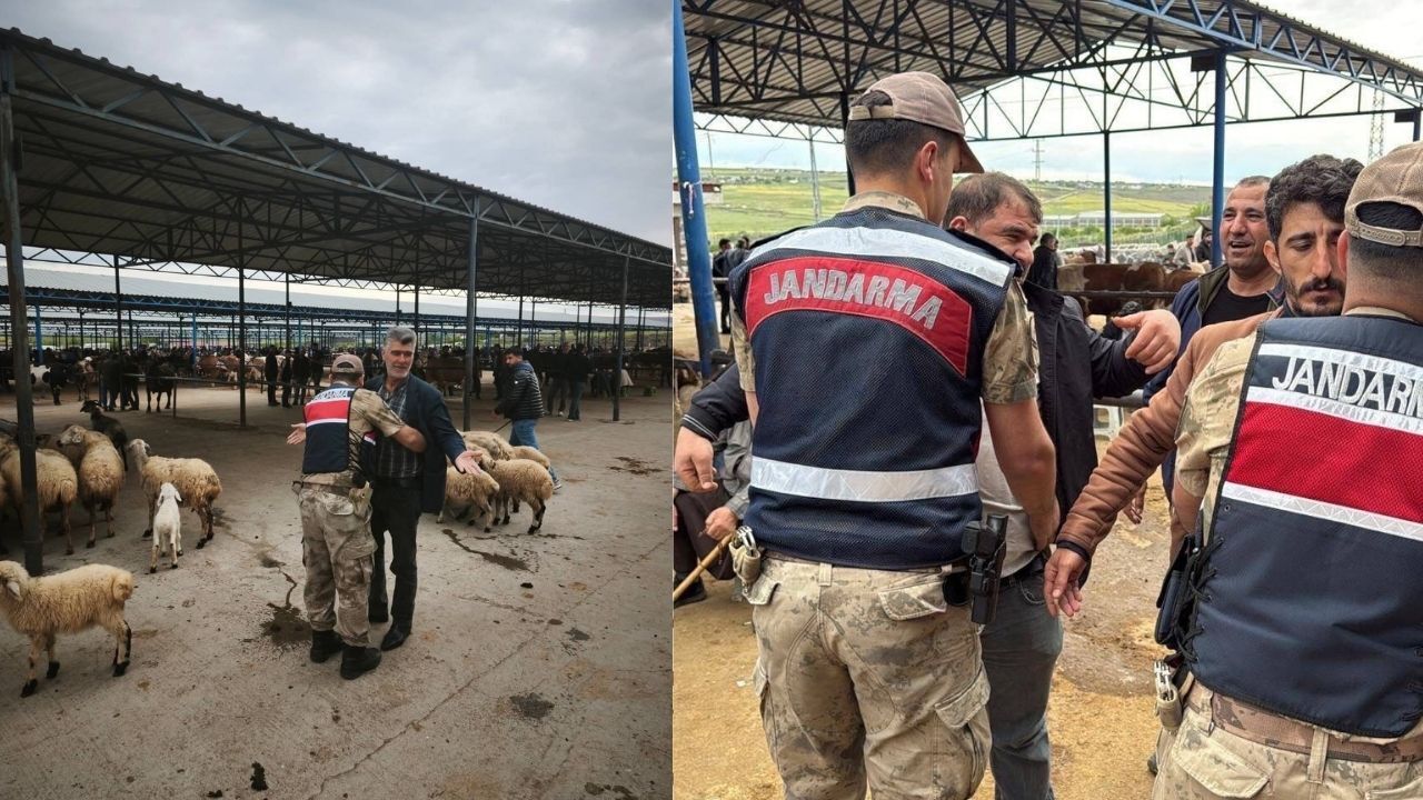 Şanlıurfa İl Jandarma Komutanlığı Hayvan Pazarında Tedbirleri Artırdı-1