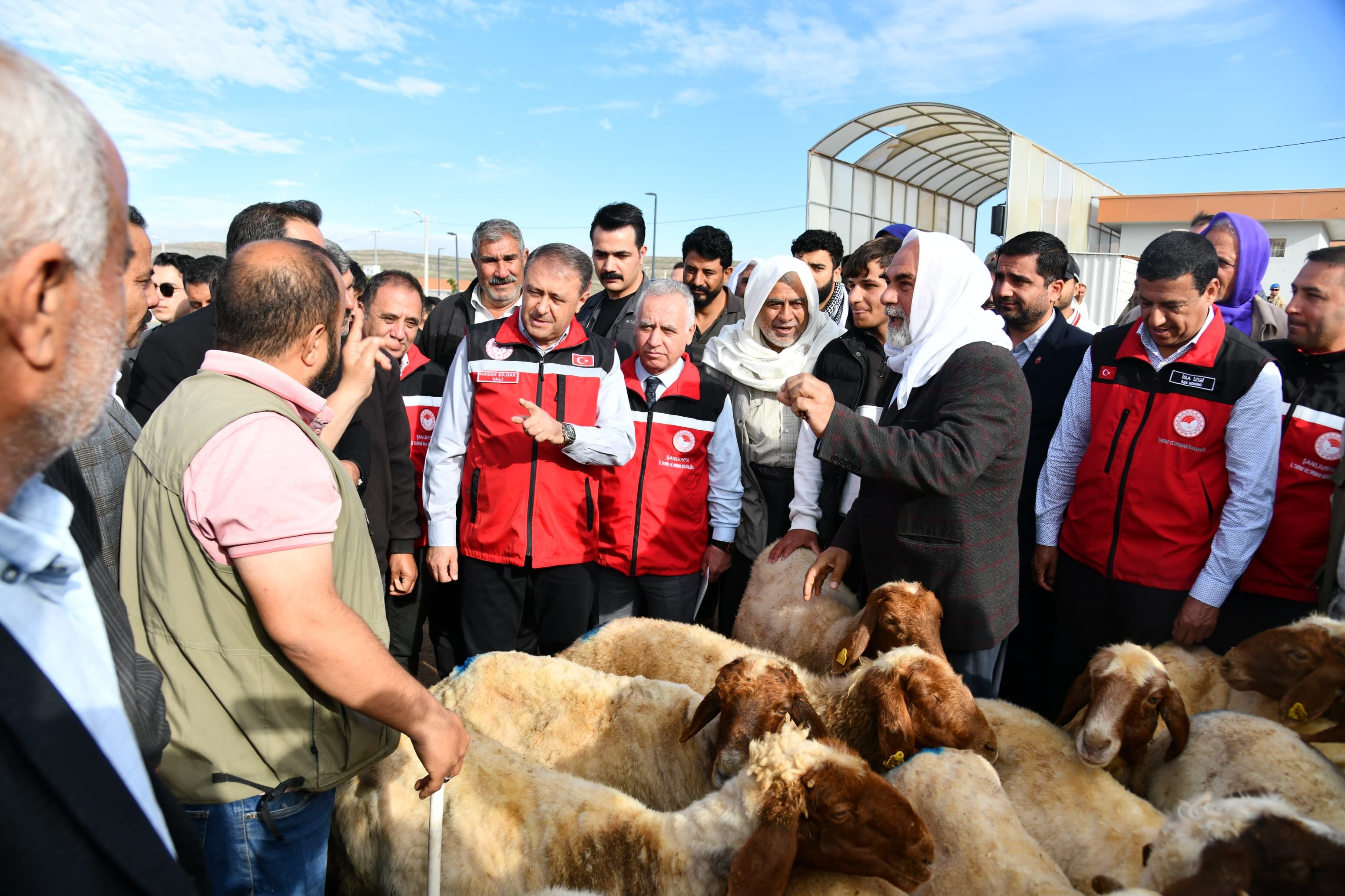 Şanlıurfa Valisi Hasan Şıldak, Sabahın Erken Saatlerinde Kurban Bayramı Öncesinde Canlı Hayvan Borsasını Ziyaret Etti.