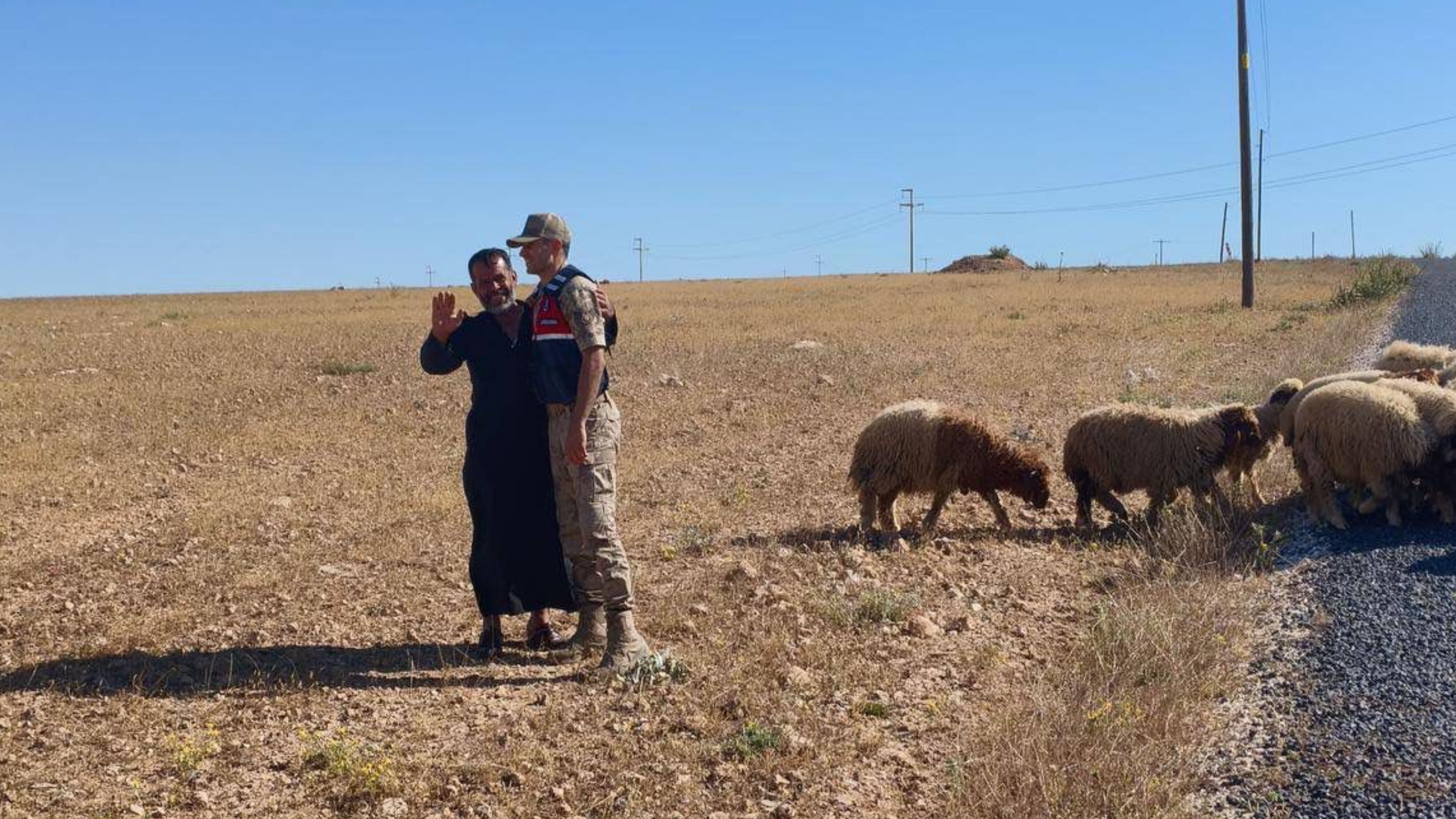 Şanlıurfa’da Kayıp Koyunlar Drone İle Bulundu (1)