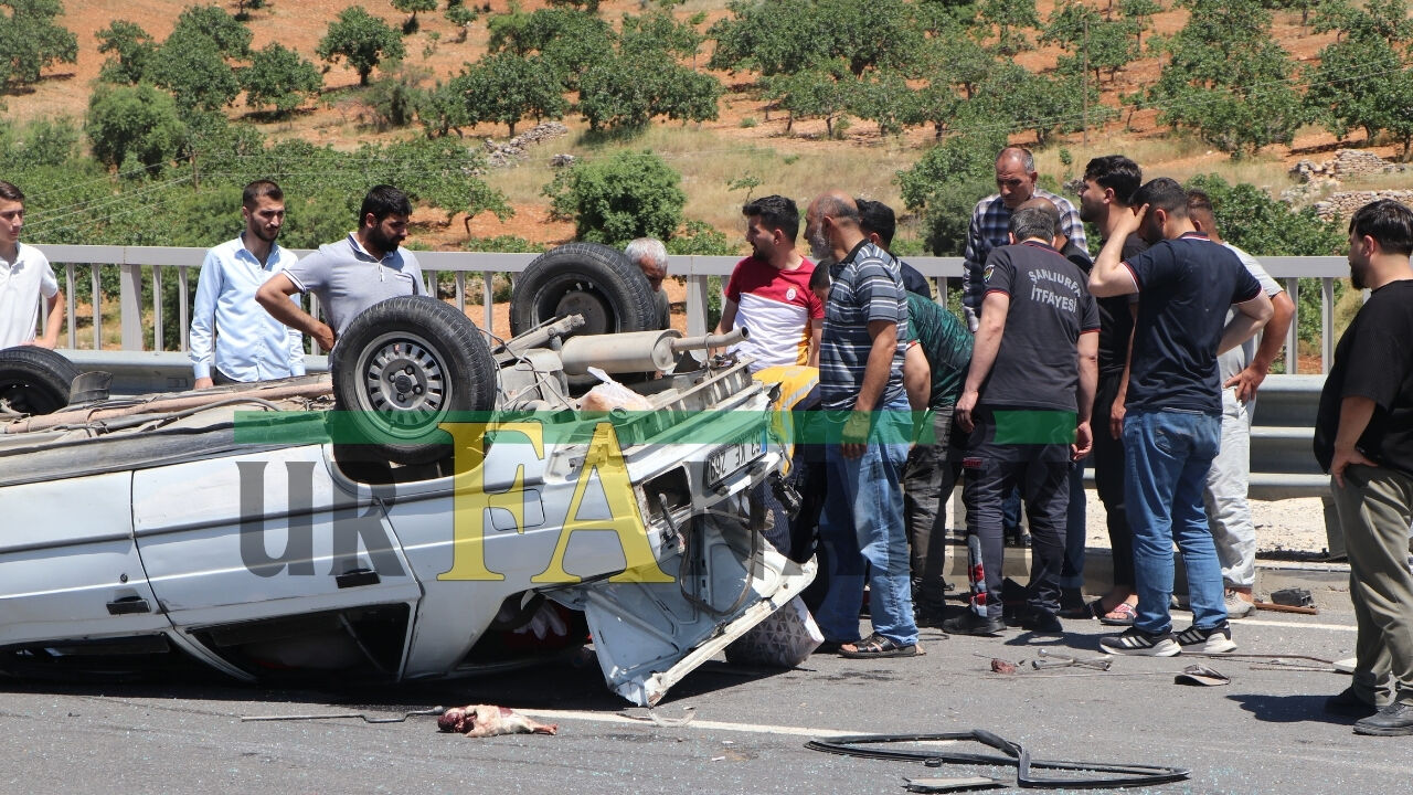 Şanlıurfa’da Kurban Kesimi Sonrası Feci Kaza (2)
