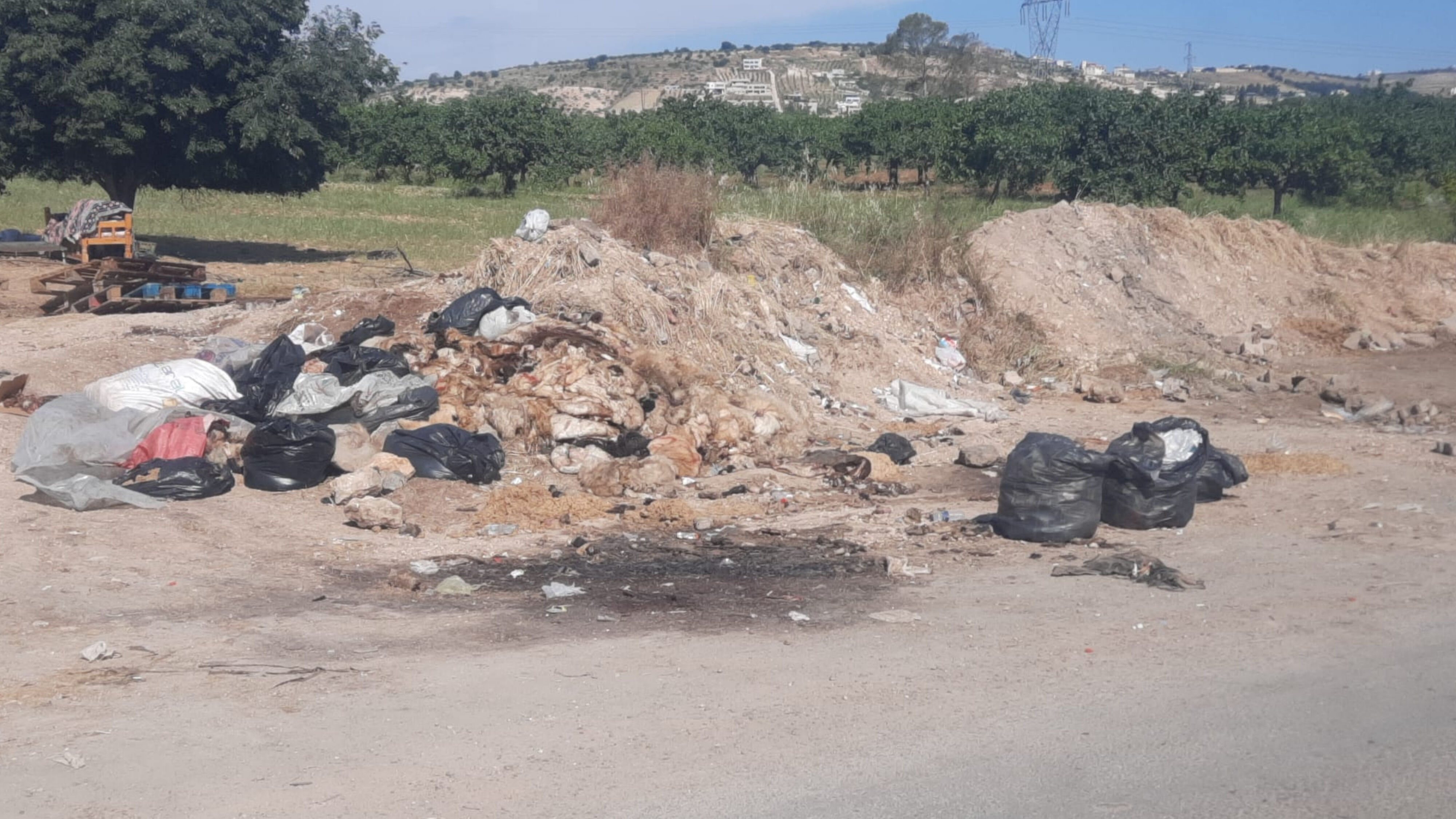 Şanlıurfa’da Kurban Kesimi Sonrası Mide Bulandıran Görüntüler (2)