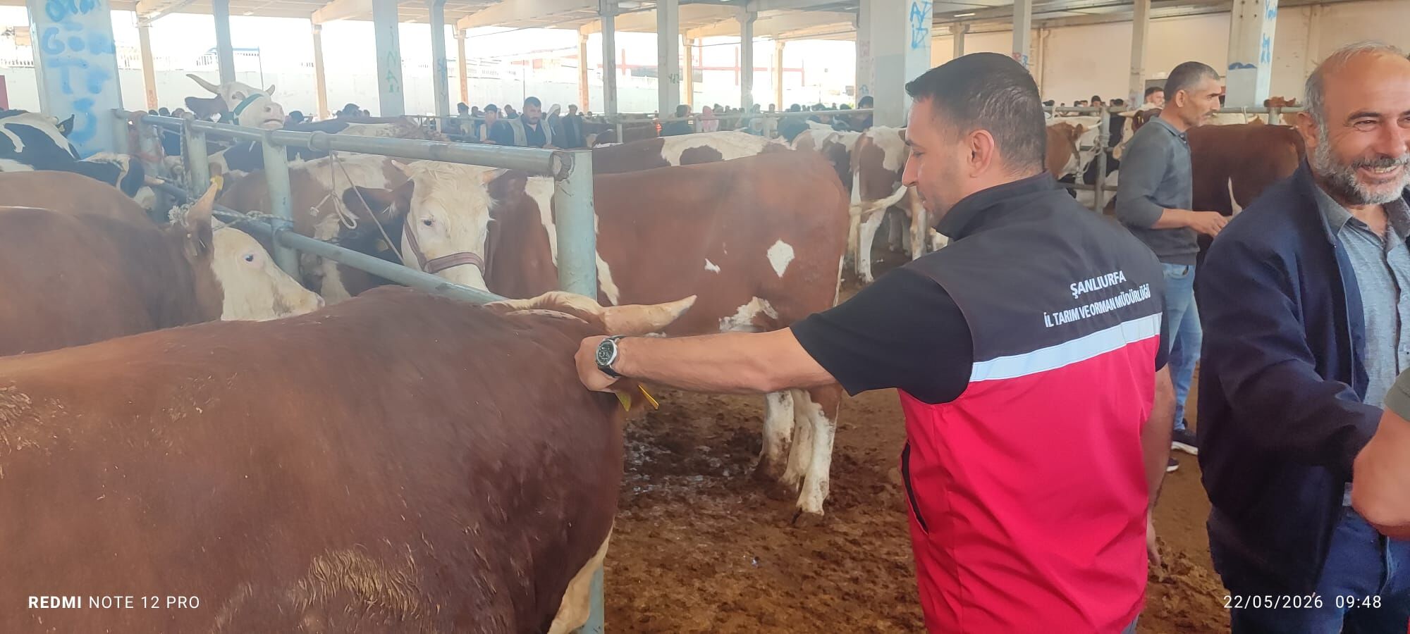 Şanlıurfa’da Kurban Öncesi Ekipler Sahaya İndi (2)