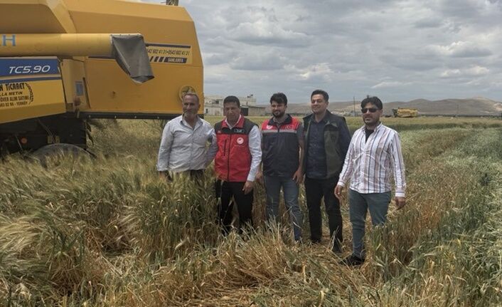 Şanlıurfa’da Üretilen Firik Dünyaya Gönderiliyor (2)