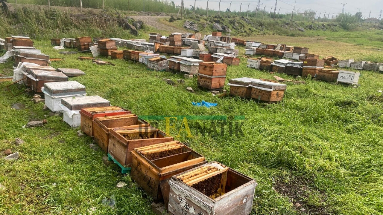 Şanlıurfa’nın Birecik Ilçesinde Etkili Olan Fırtına, Arı Yetiştiricilerini Vurdu (1)