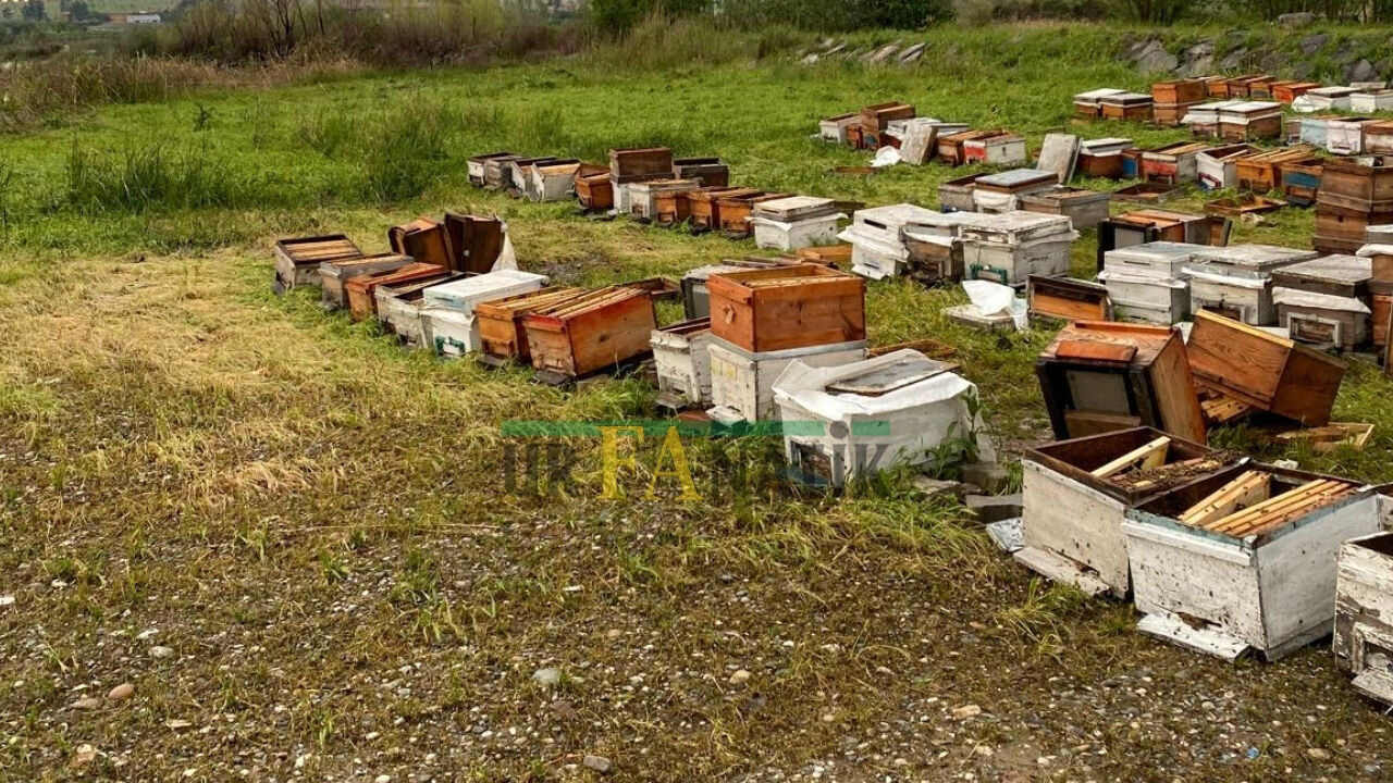 Şanlıurfa’nın Birecik Ilçesinde Etkili Olan Fırtına, Arı Yetiştiricilerini Vurdu (3)