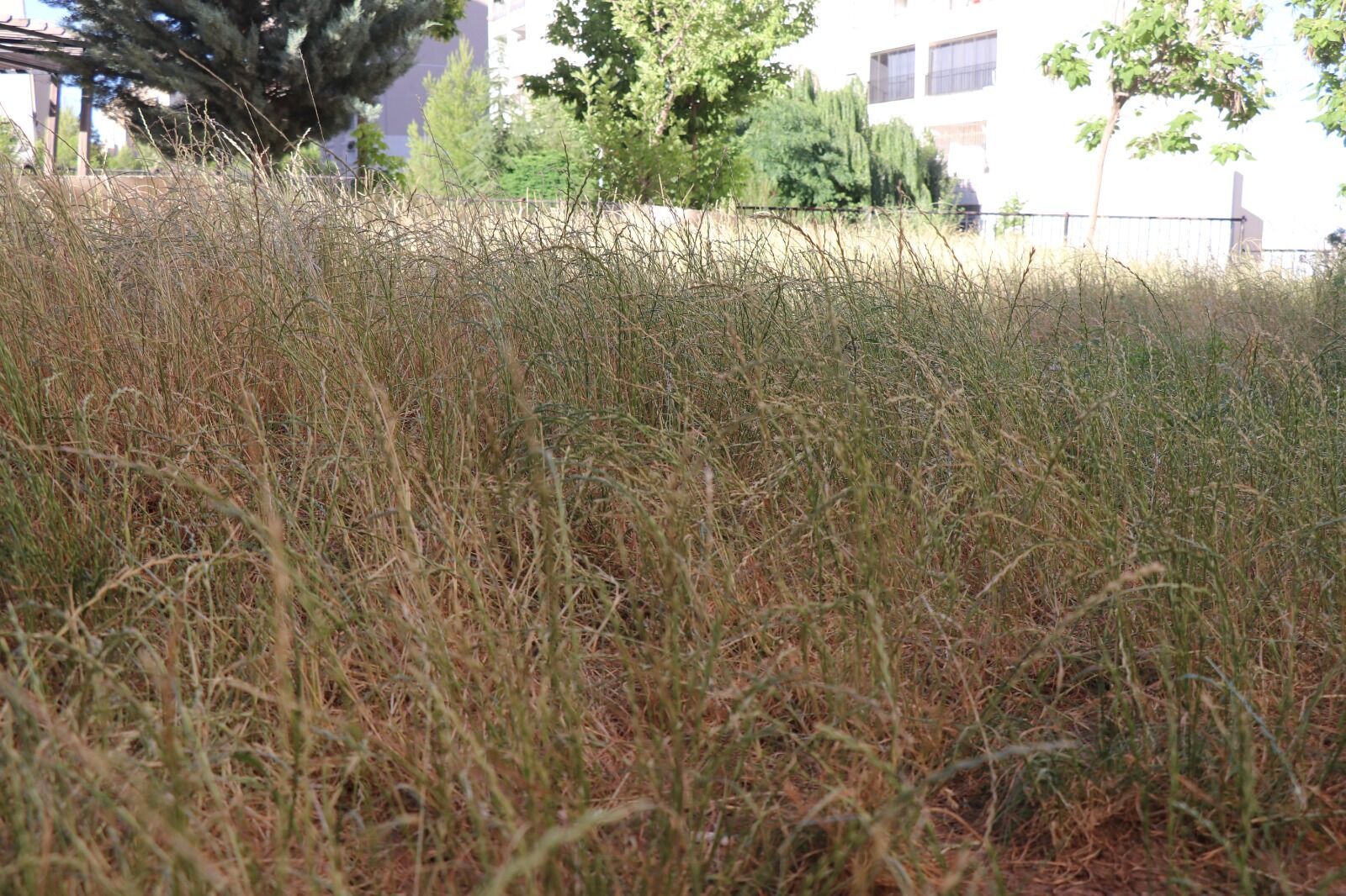 Aidat Var, Hizmet Yok Maşuk Toki̇’de Vatandaşın 6 Aylık Sıcak Su İsyanı