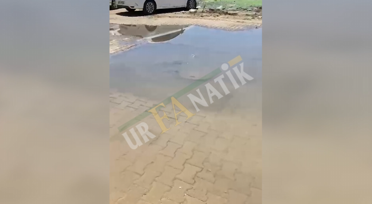 “Asil Sorun Di̇namo Ve Elektri̇k Si̇stemi̇nde”