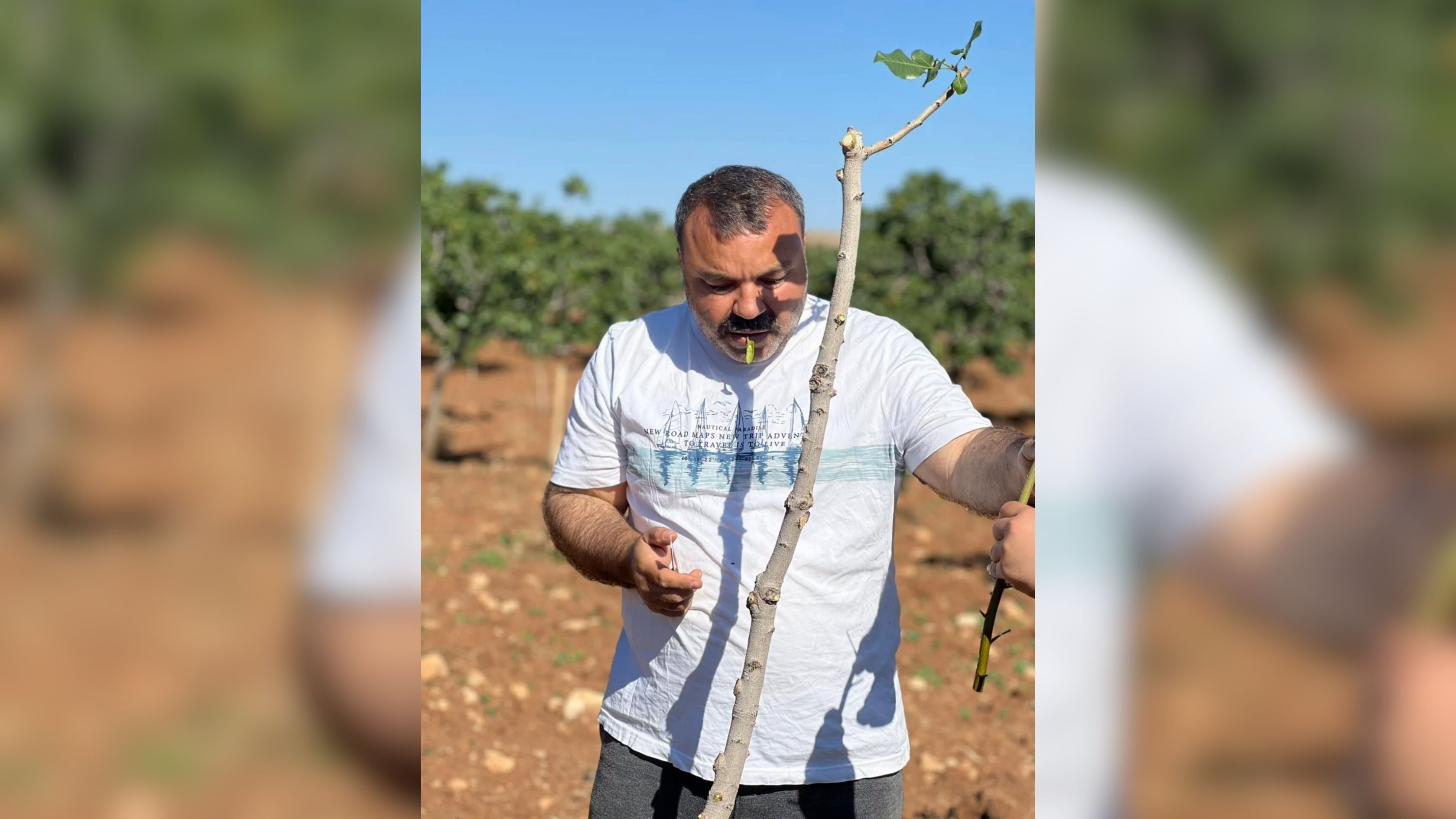 Aşılama