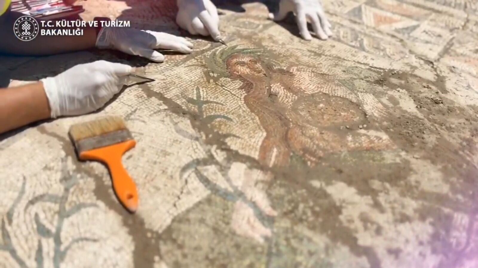 Aspendos'ta Roma Dönemine Ait Nadir Mozaik Keşfedildi 4