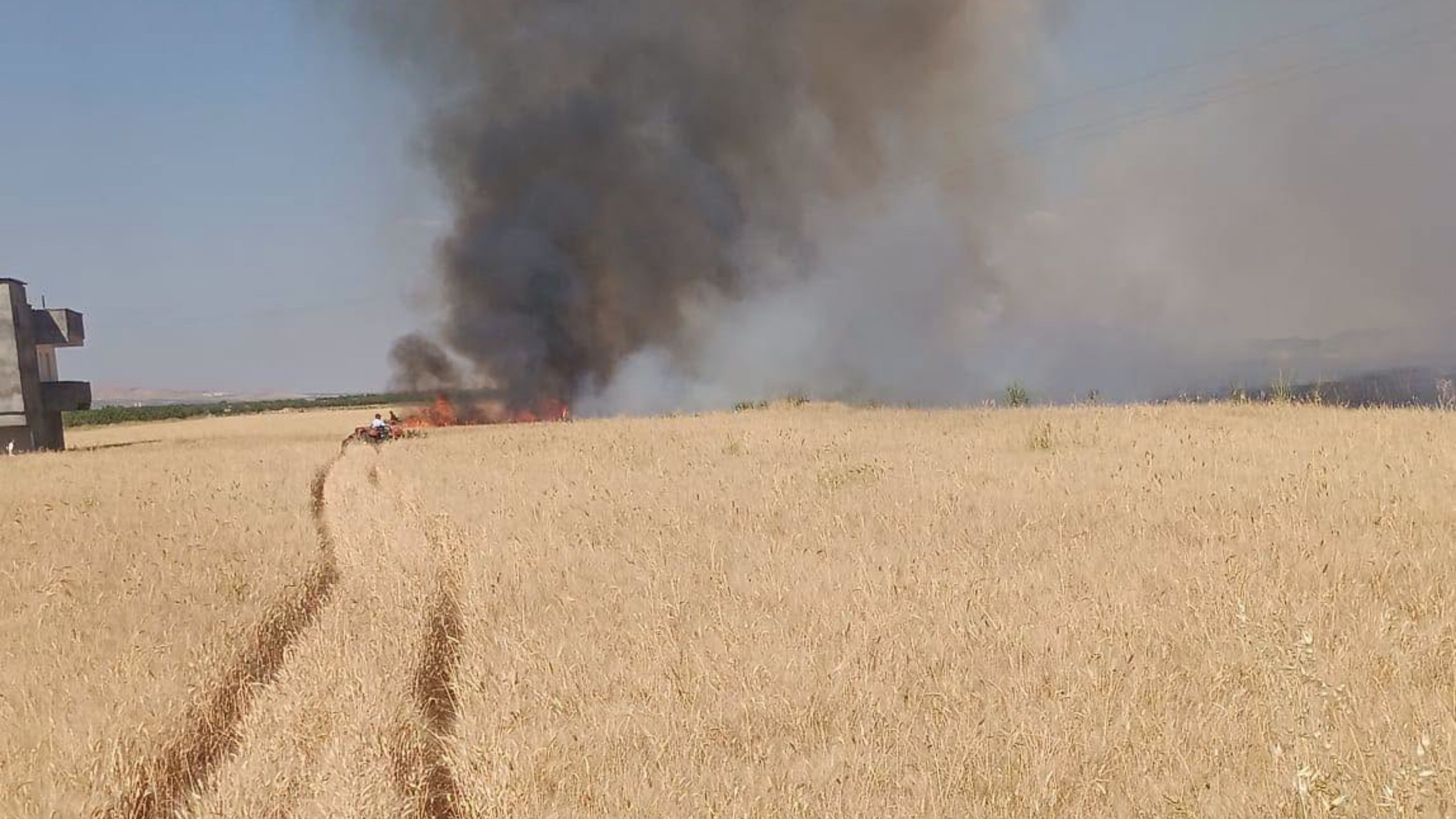 Bozova Hasat Yangın