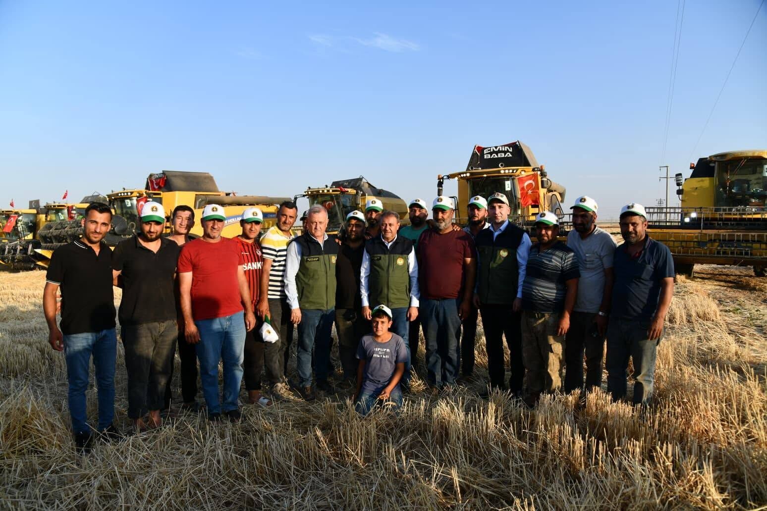 Ceylanpinar Ti̇gem'de Altin Sarisi Buğday Hasadi Başladi (1)