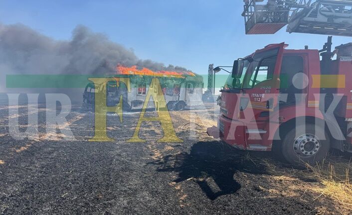 Ceylanpınar'da Yangına Müdahale Eden İşçiler Yaralandı (1)