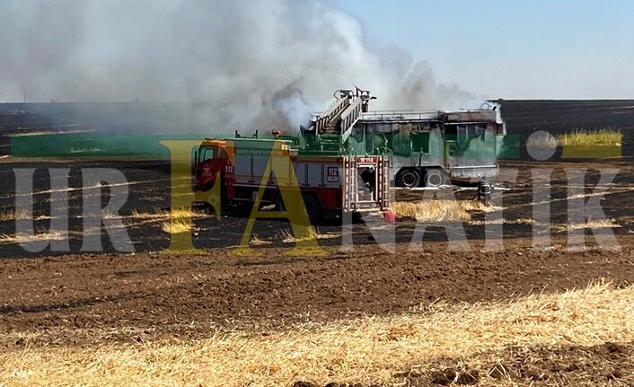 Ceylanpınar'da Yangına Müdahale Eden İşçiler Yaralandı (4)
