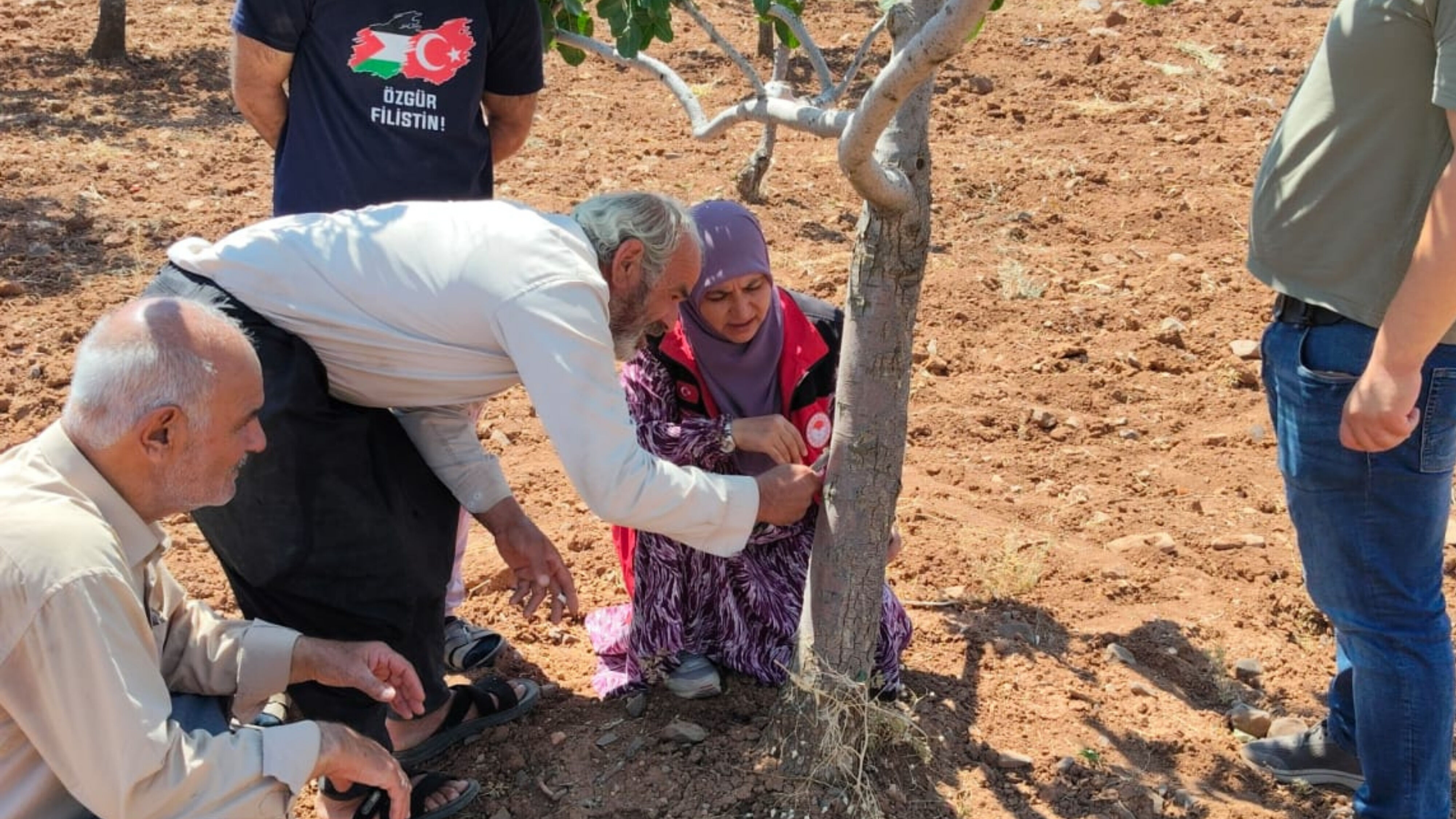 Fıstık Bahçeleri-1