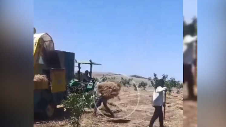 Fıstık Tarlası Mercimek Ekimi