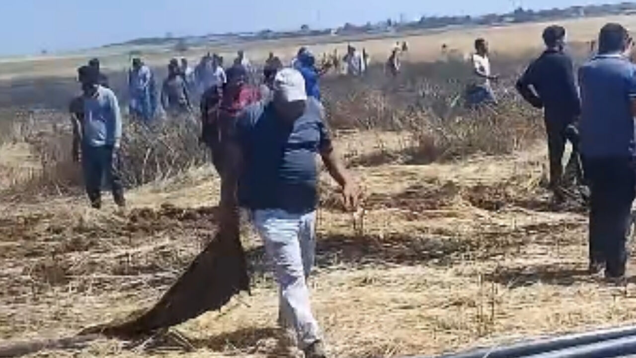 Harran’da Buğday Tarlasında Yangın! (3)