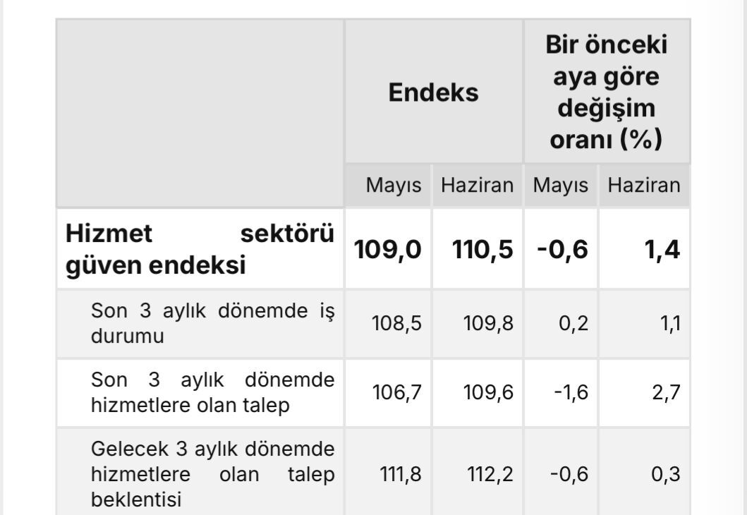 Hizmet1