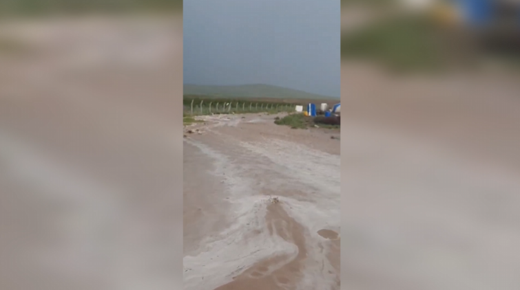 Mahmut Tanal’dan Mevsimlik Tarım İşçileri İçin Çağrı