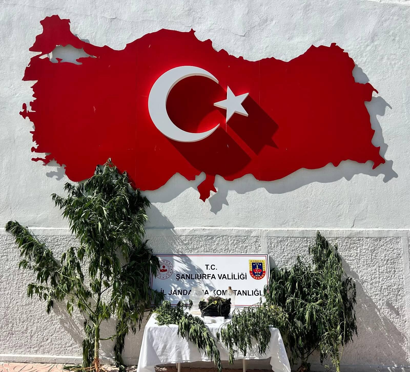Şanlıurfa Jandarmasından Hilvan İlçesinde Operasyon