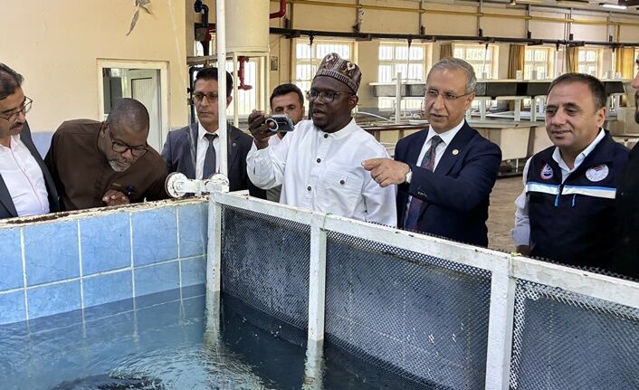 Şanlıurfa Su Ürünlerinde Dünyaya Açılıyor! (6)