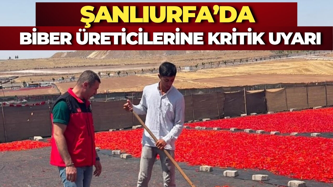 Şanlıurfa’da Biber Sezonu Öncesi Ekipler Sahaya İndi