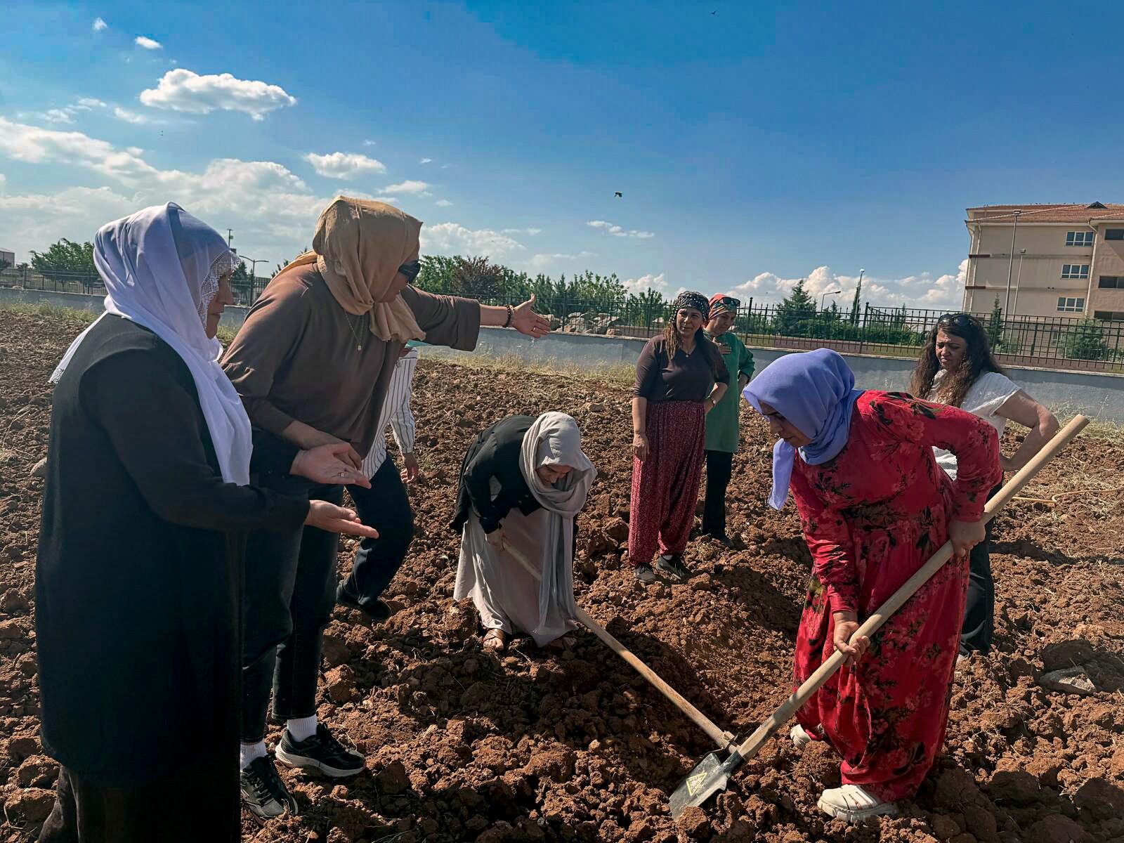 Şanlıurfa'da Bostan Mesaisi Başladı (1)