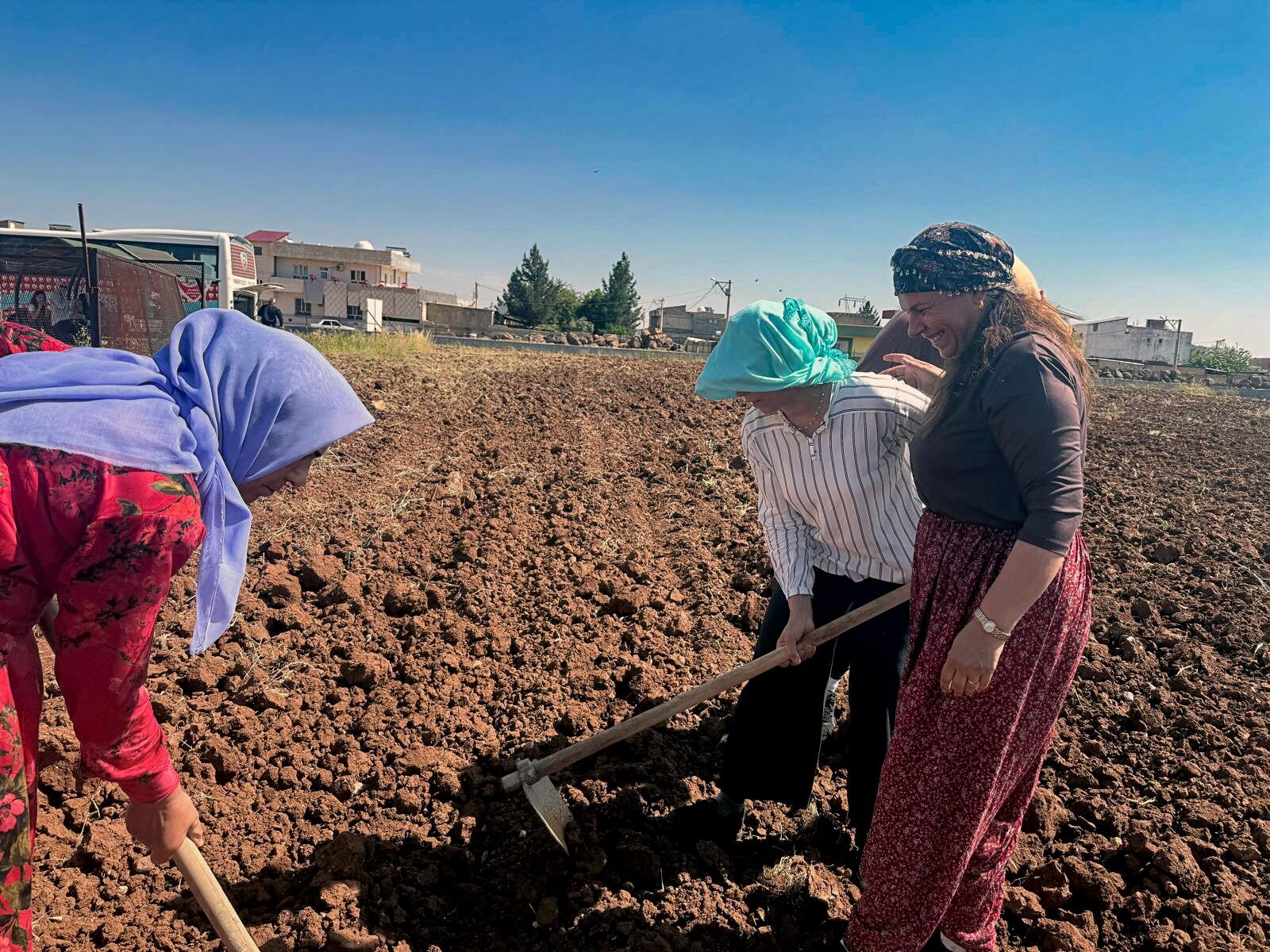 Şanlıurfa'da Bostan Mesaisi Başladı (3)