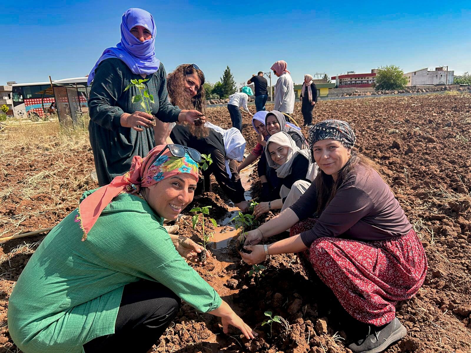 Şanlıurfa'da Bostan Mesaisi Başladı (4)