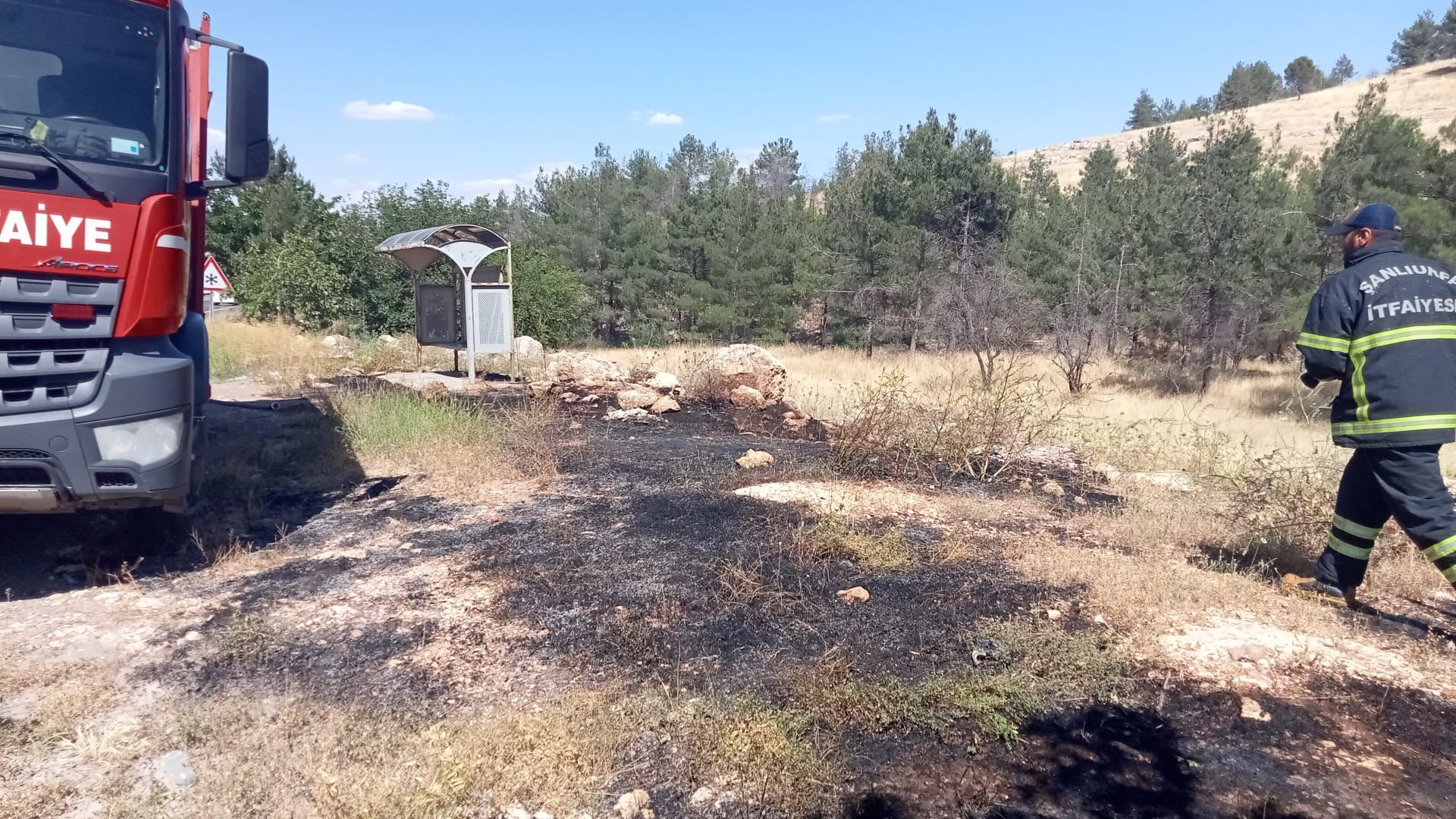 Şanlıurfa'da Çıkan Orman Yangını Kontrol Altına Alındı
