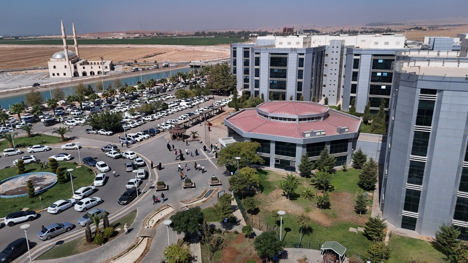 Sıcak Havada Meyan Kökü Şerbeti Tüketenlere Uzman Uyarısı (3)