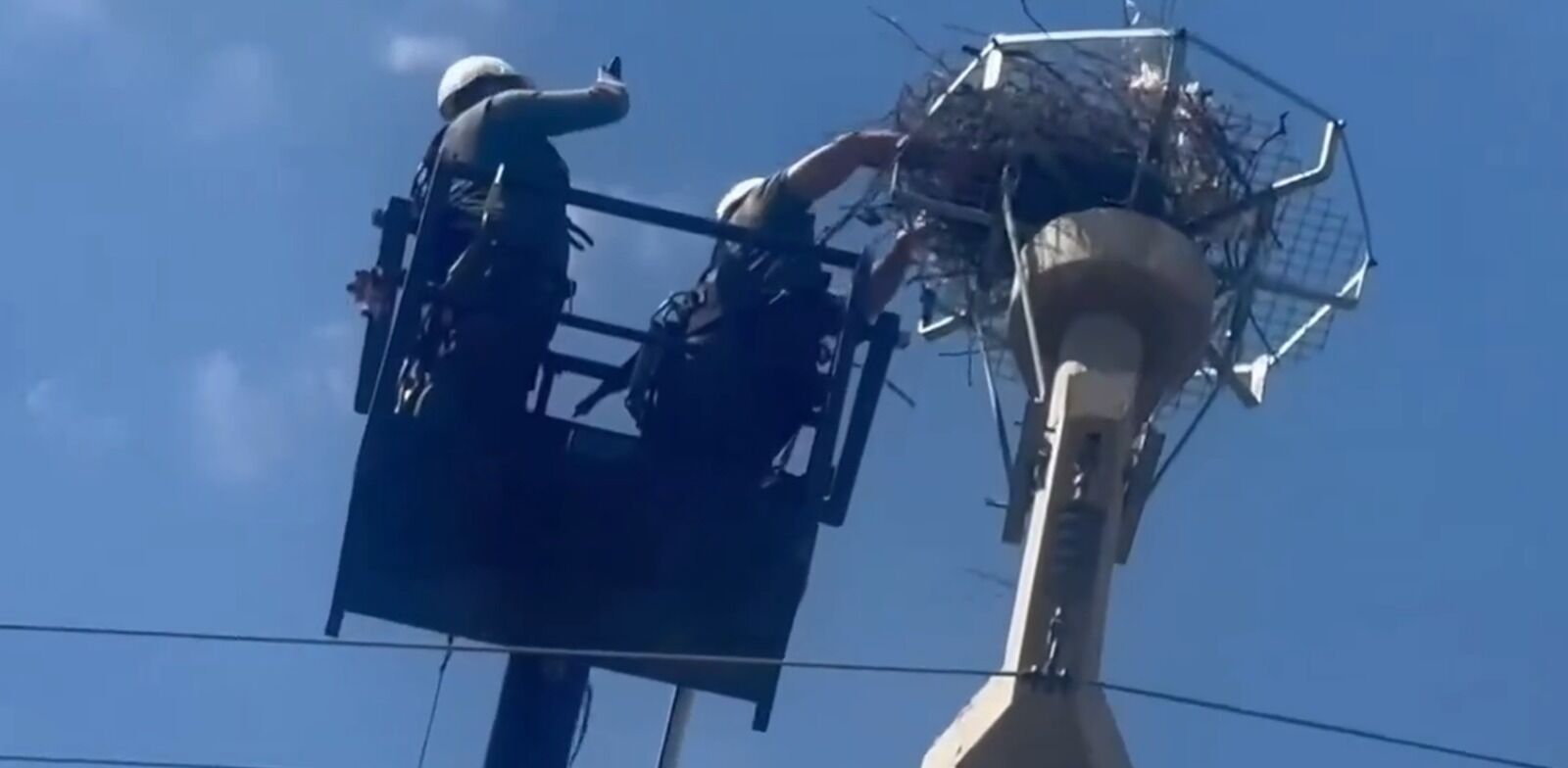 Şırnak’ta Leylekler İçin Güvenli Yuva Platformları Kuruldu1
