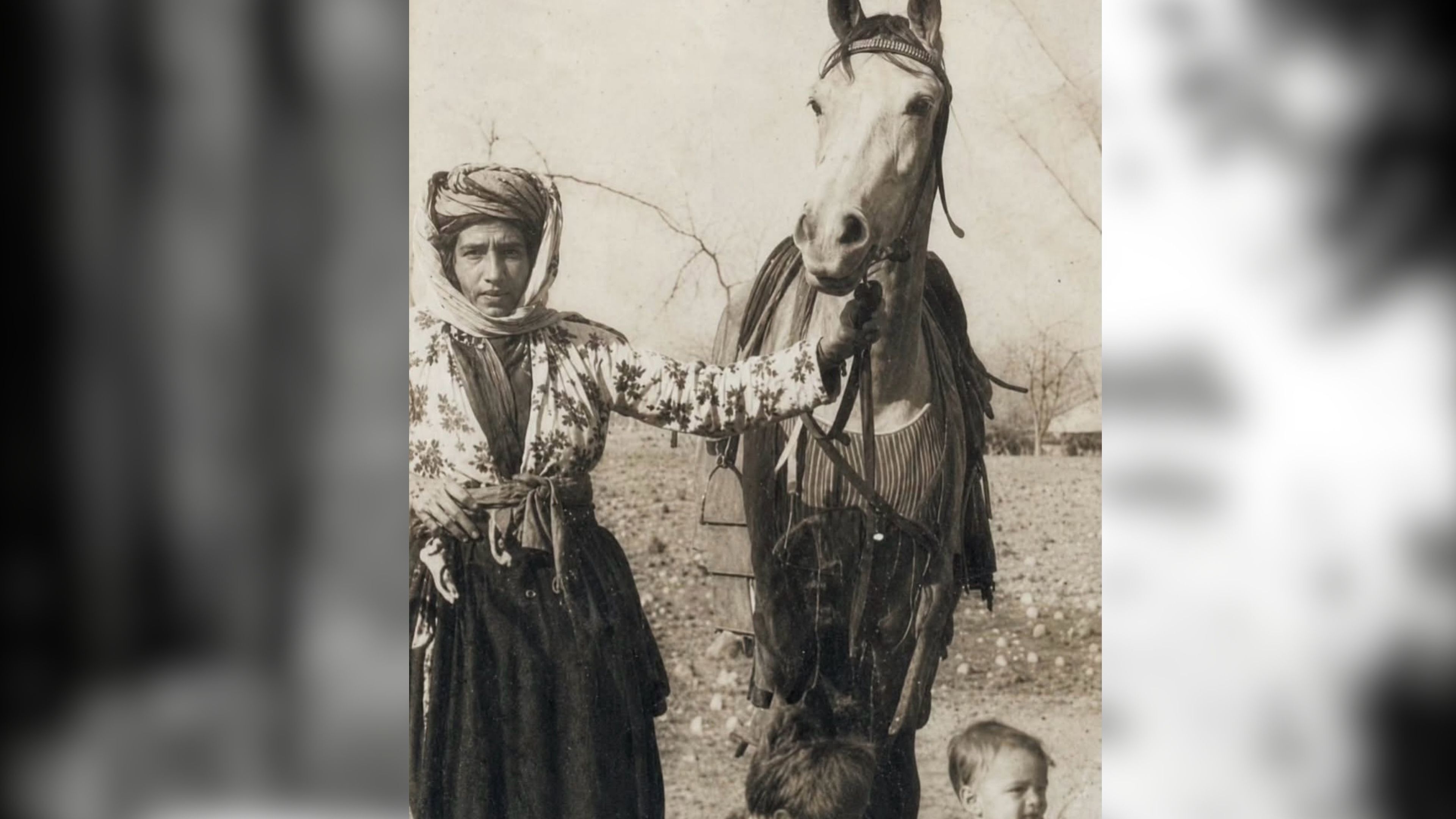 Suruç Atı