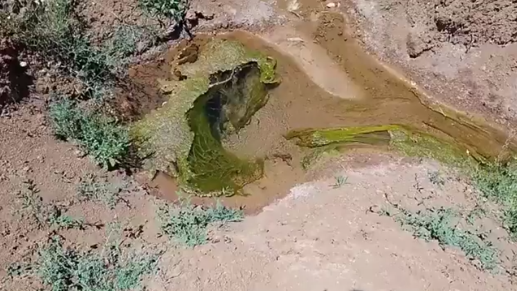 Tarlalar Su Altinda Kaldi
