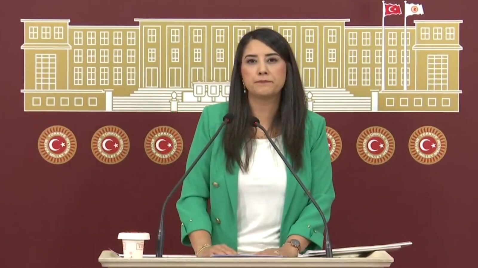 Dem Parti Şanlıurfa Milletvekili Ayan'dan Birecik Köprüsü Açıklaması-2