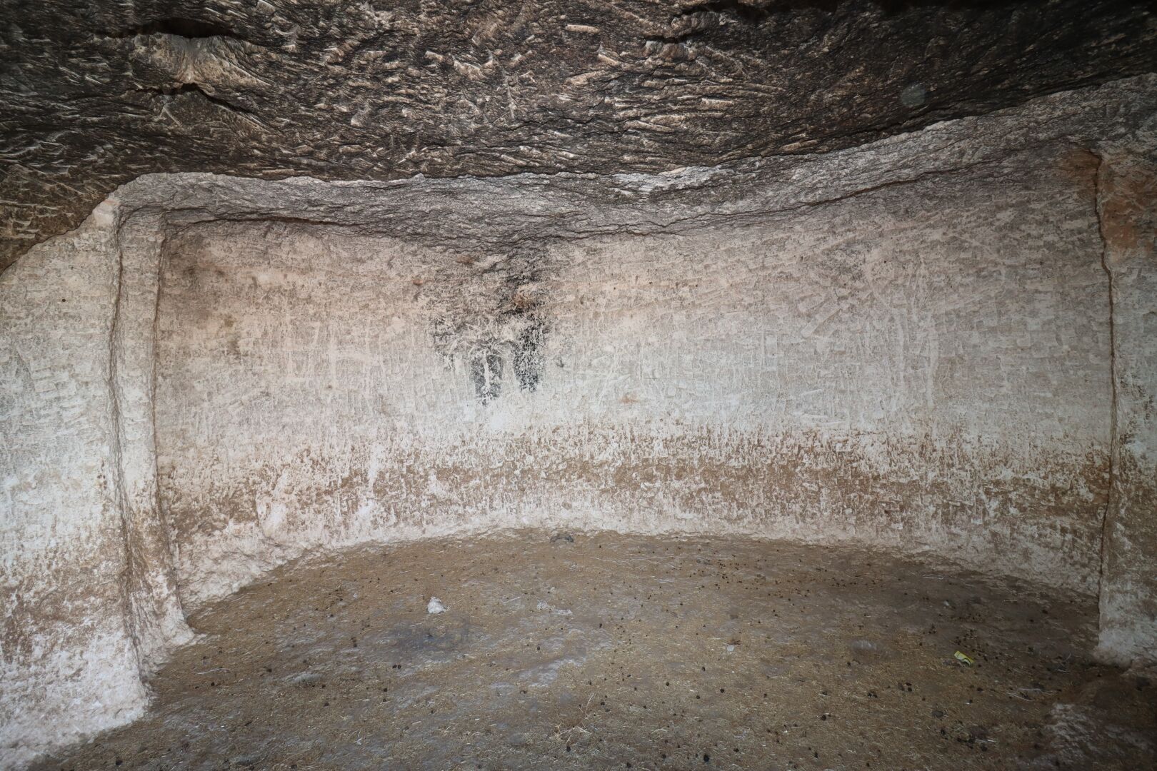 Harran Medresesi