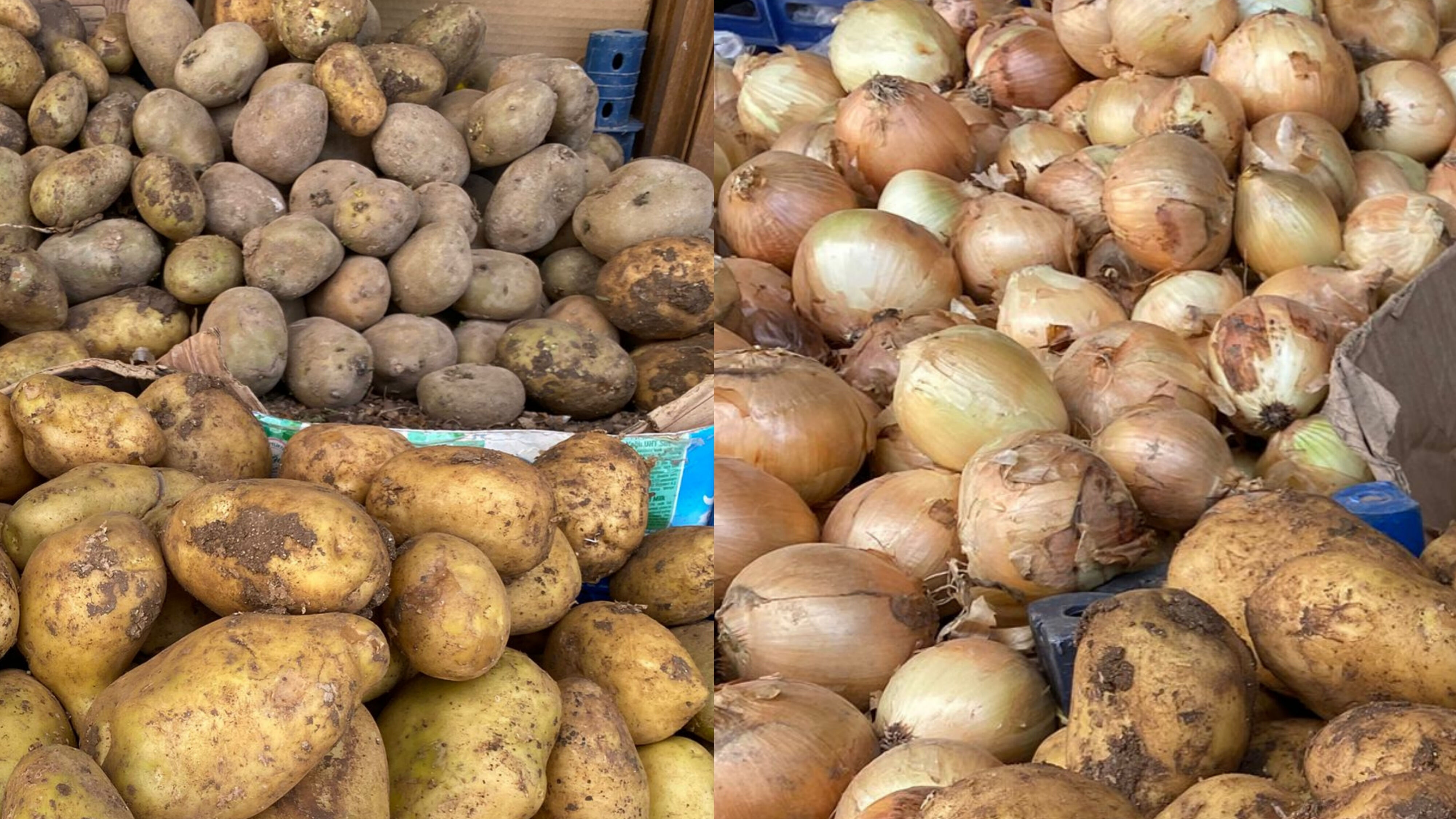 Patates Ve Soğan (1)