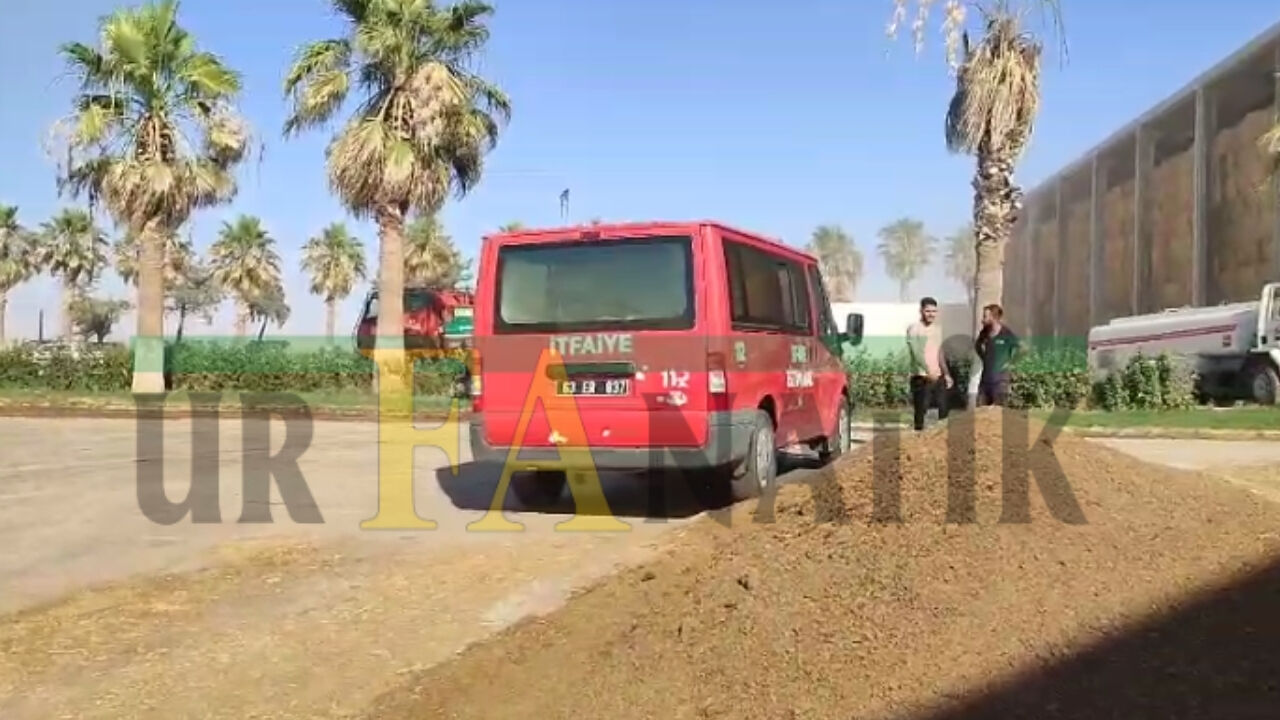 Şanlıurfa'da Dev Hayvan Çiftliğinde Büyük Yangın! (3)