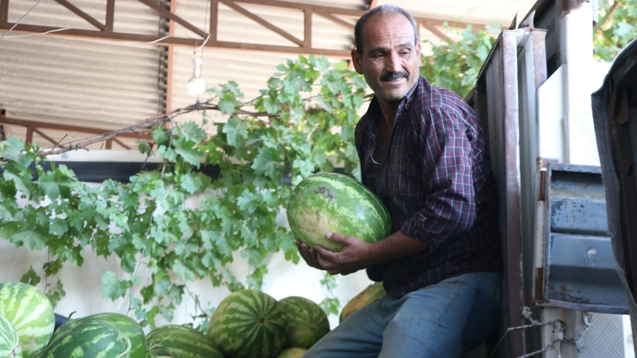 Şanlıurfa'da Karpuzun Kilosu Ne Kadar İşte Güncel Fiyatlar Mustafa Padak (3)