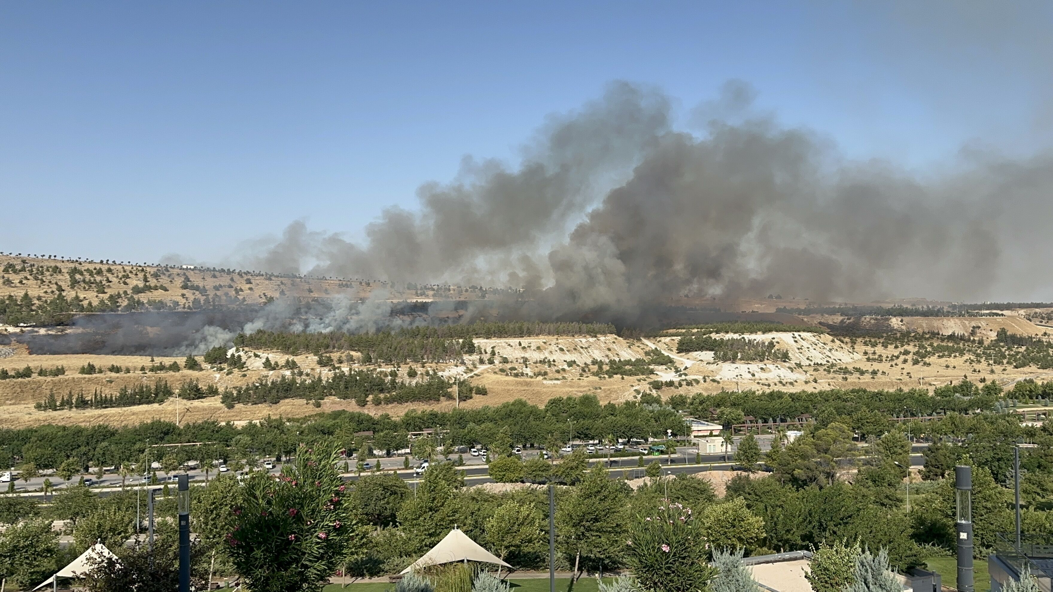 Şanlıurfa’da Ormanlık Alanda Büyük Yangın (2)