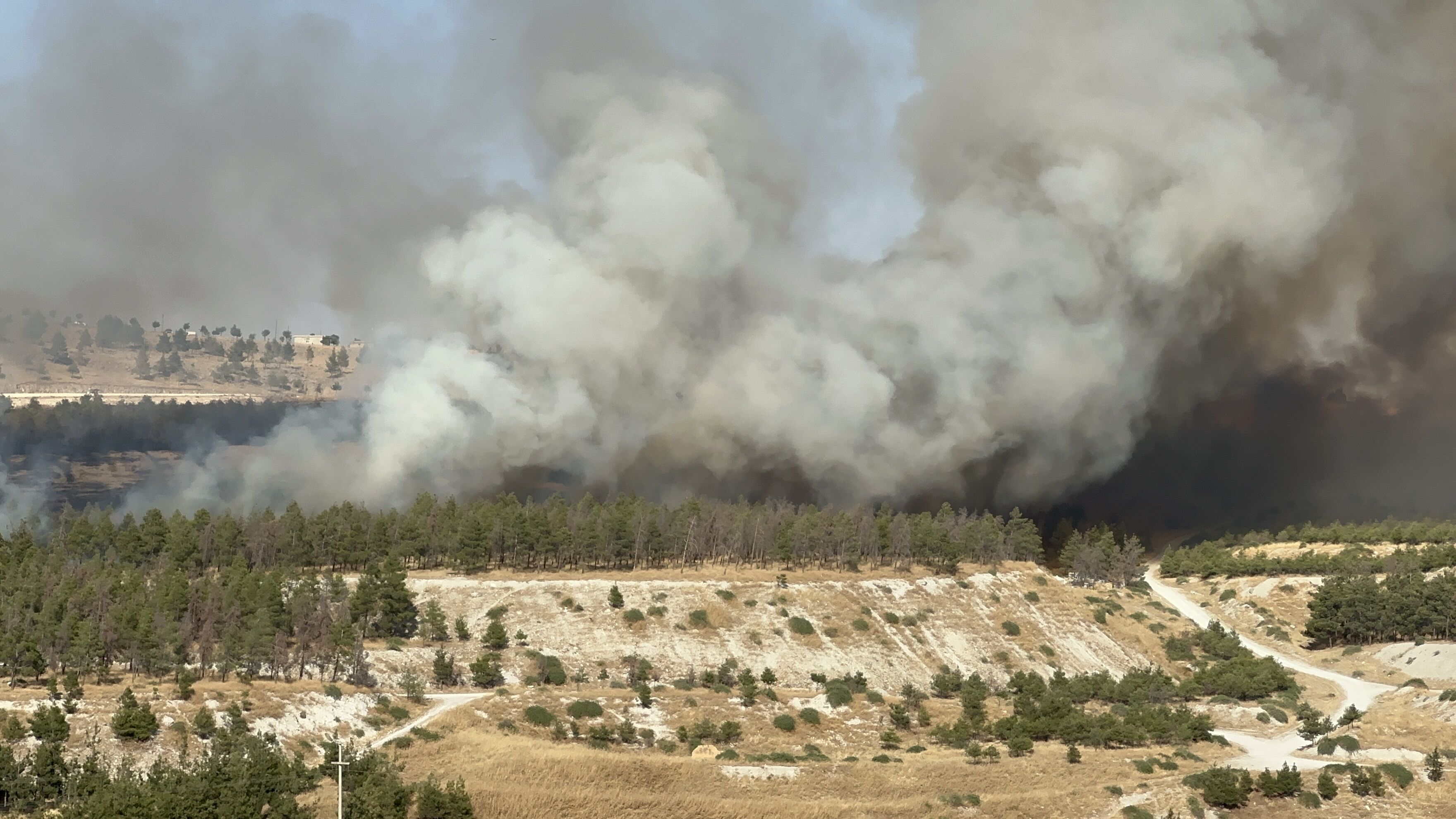 Şanlıurfa’da Ormanlık Alanda Büyük Yangın (3)