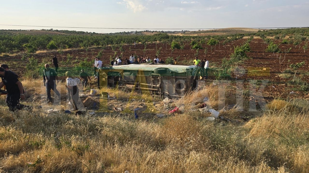 Şanlıurfa'da Tarım İşçilerini Taşıyan Minibüs Devrildi 22 Yaralı