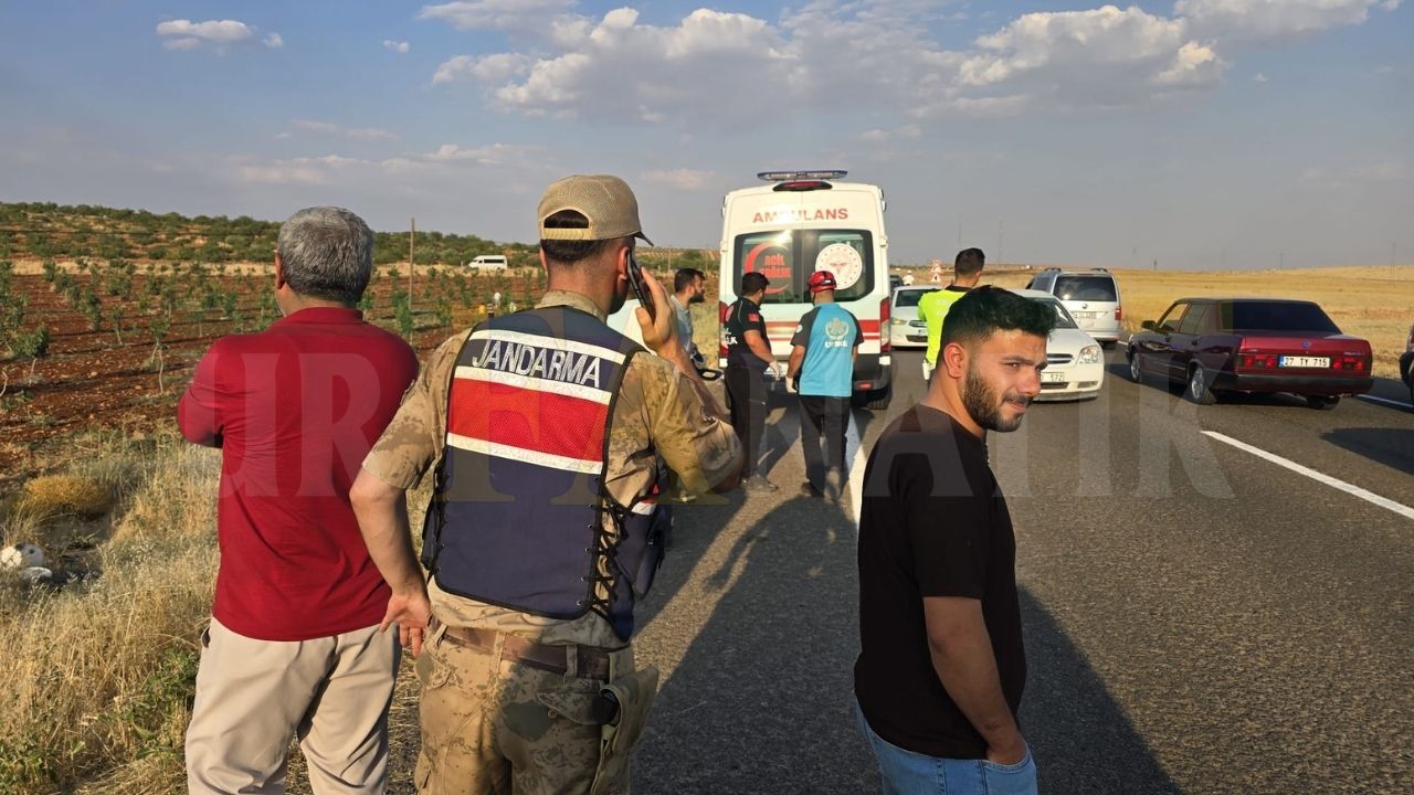 Şanlıurfa'da Tarım İşçilerini Taşıyan Minibüs Fıstık Bahçesine Devrildi