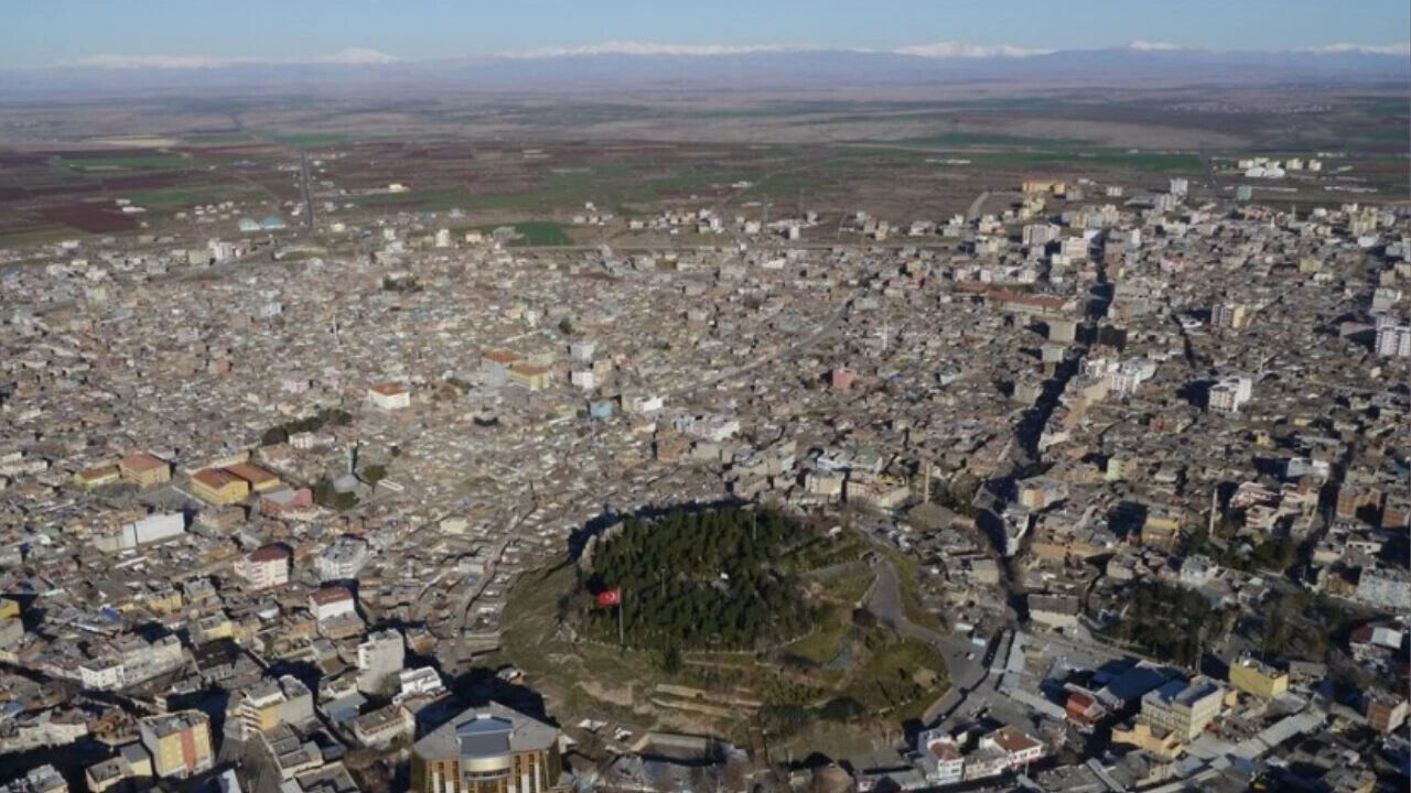 Siverek'te Kuduz Vakası Mahalle 6 Ay Karantinada (2)